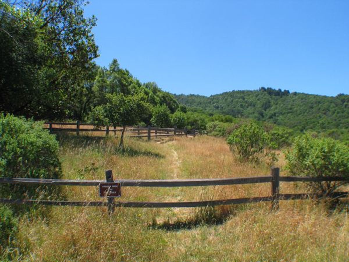 Image of California State Park