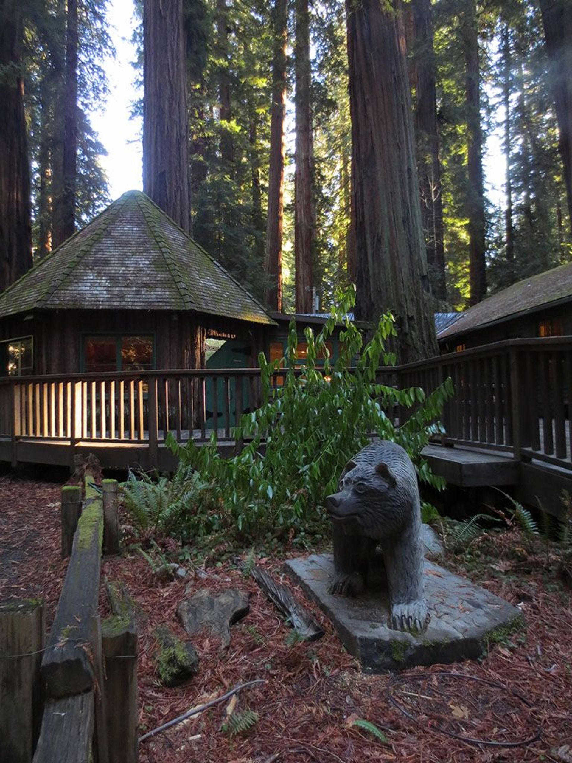 Image of California State Park