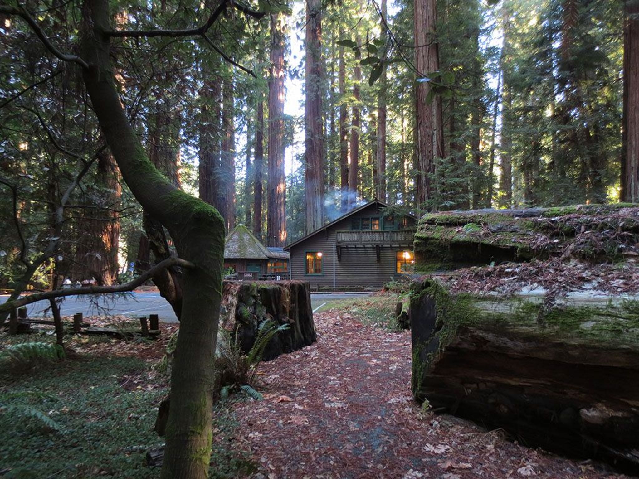 Image of California State Park