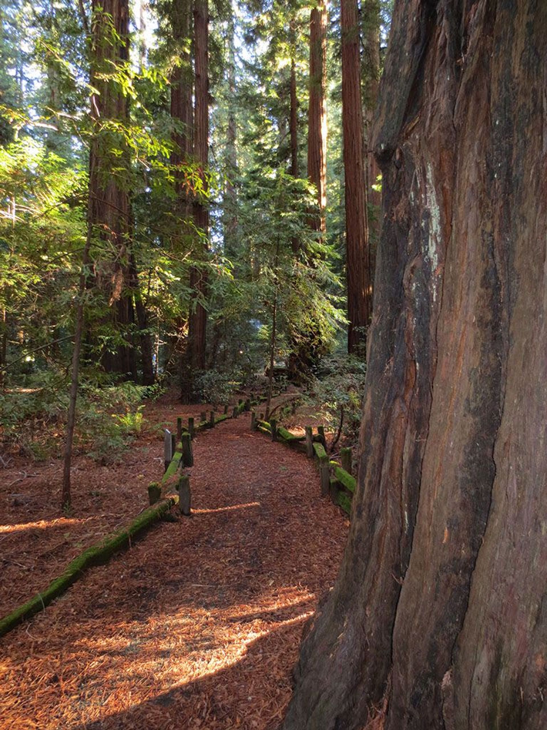 Image of California State Park