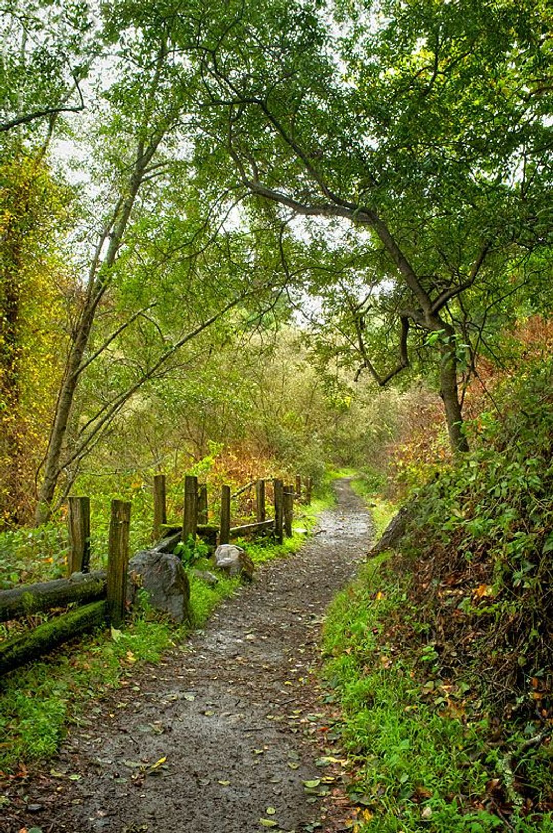 Image of California State Park