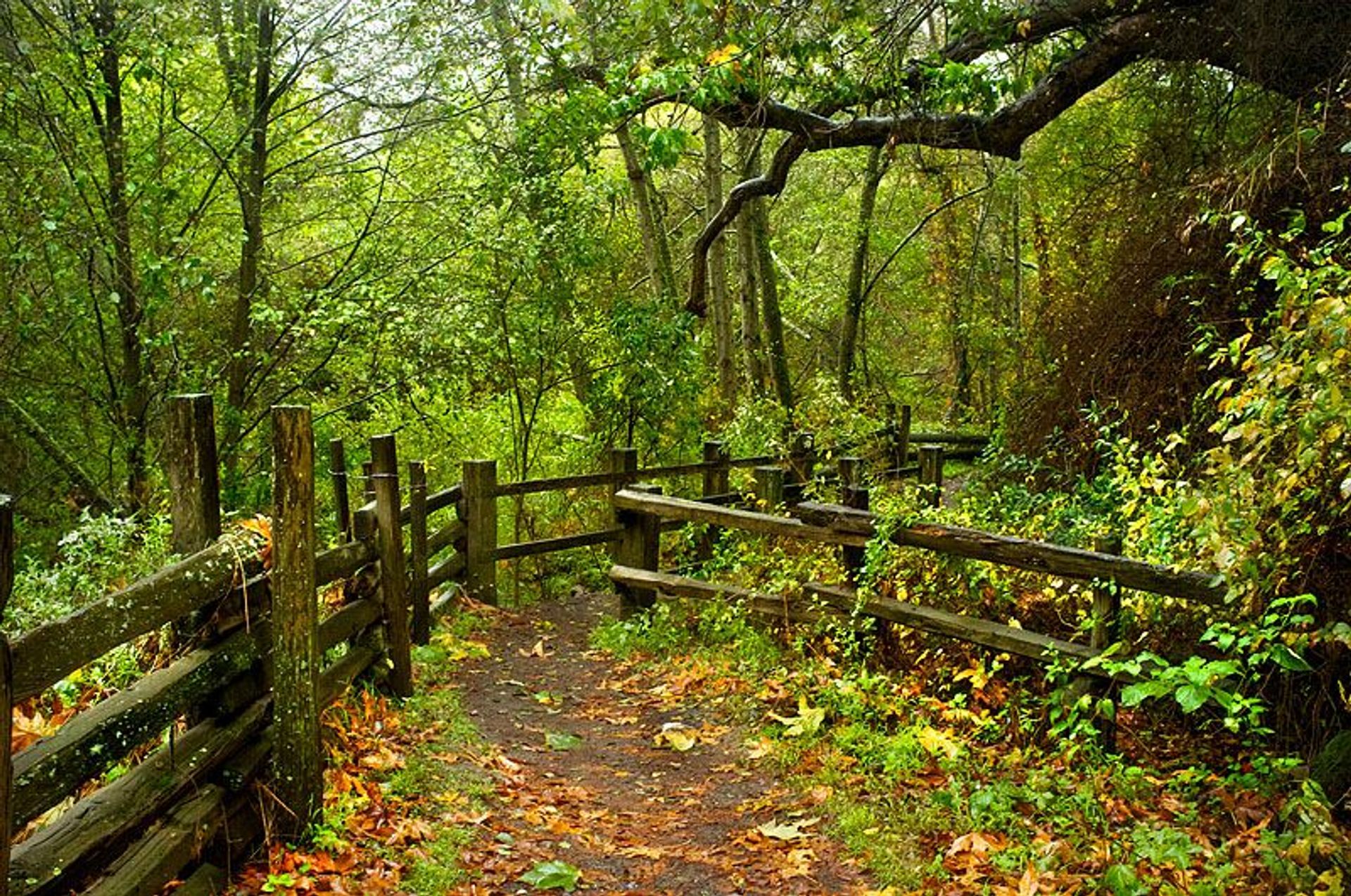 Image of California State Park