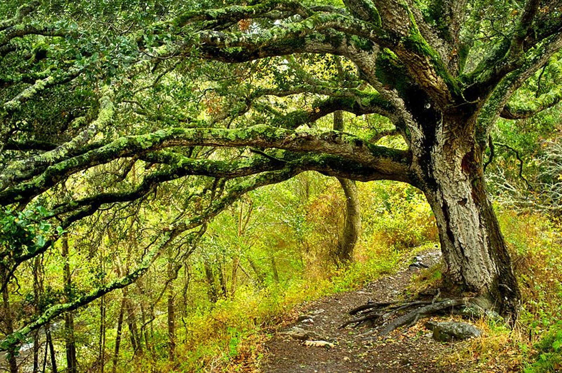 Image of California State Park