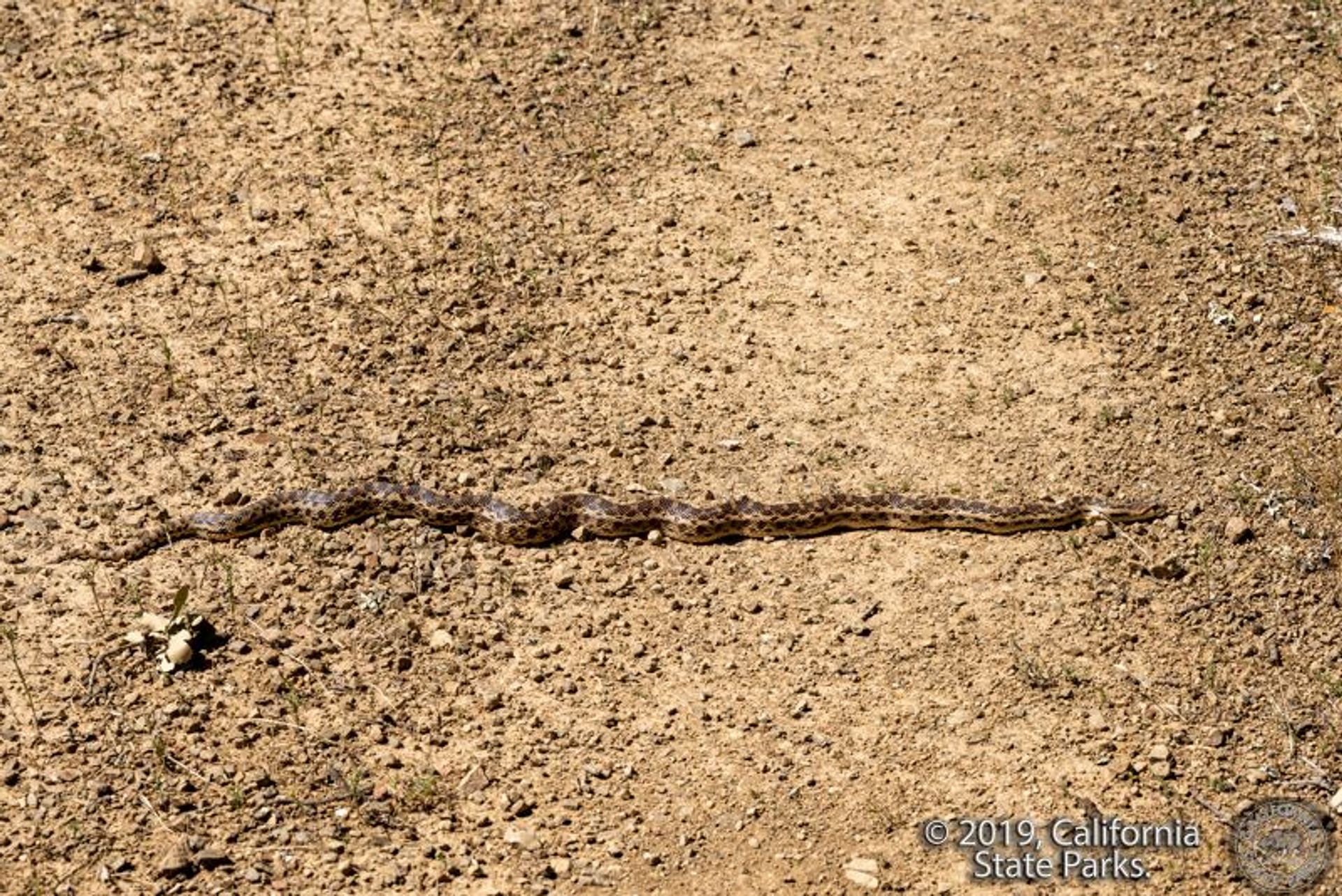 Image of California State Park