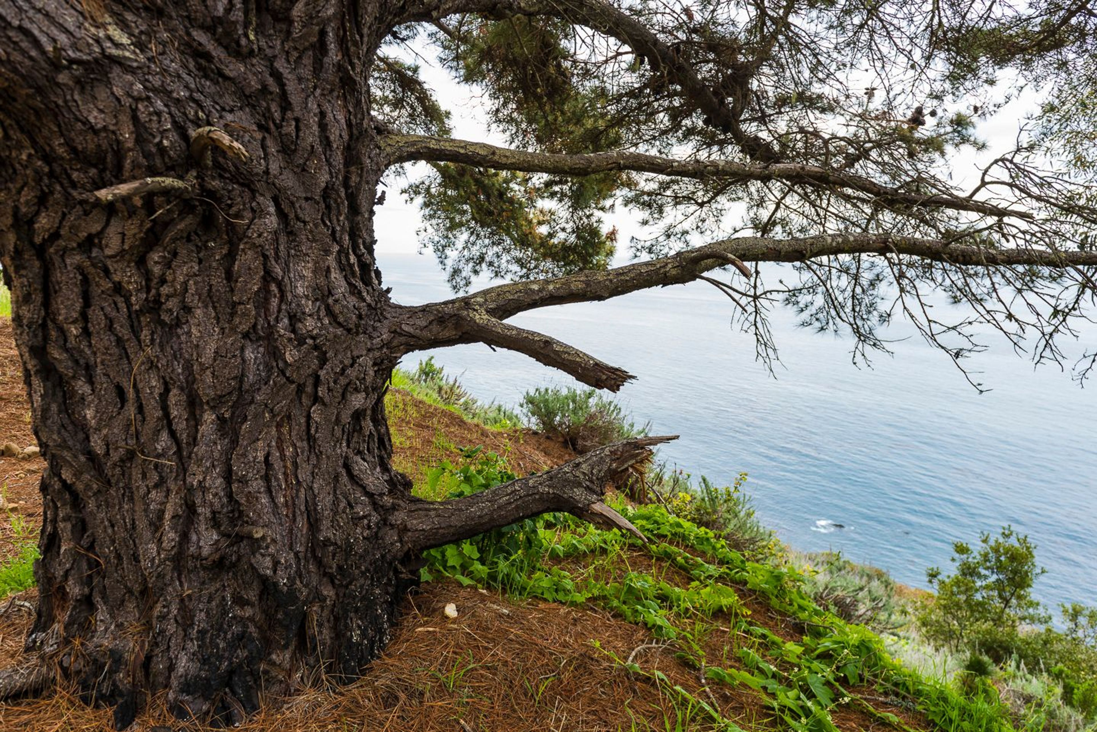 Image of California State Park