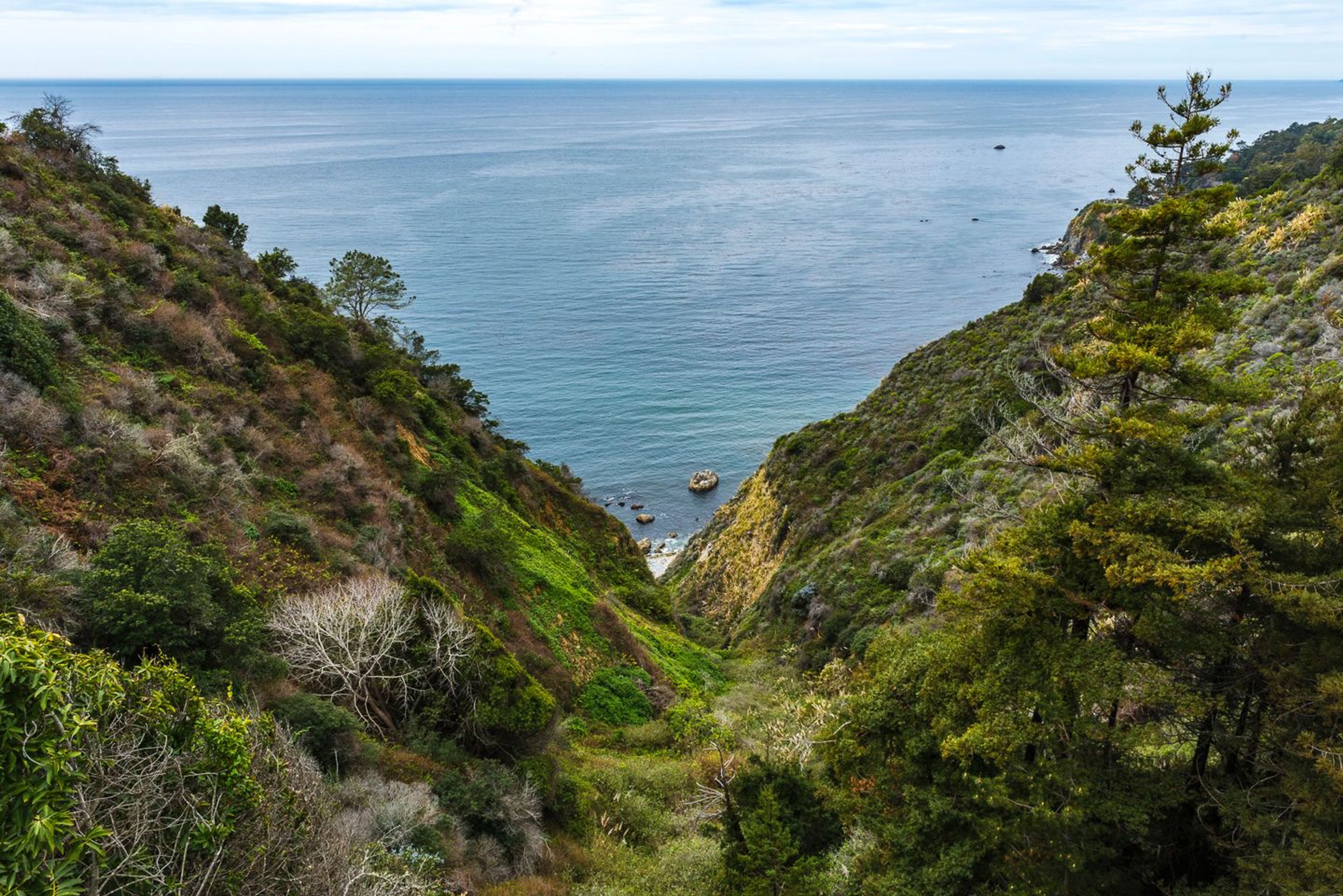 Image of California State Park