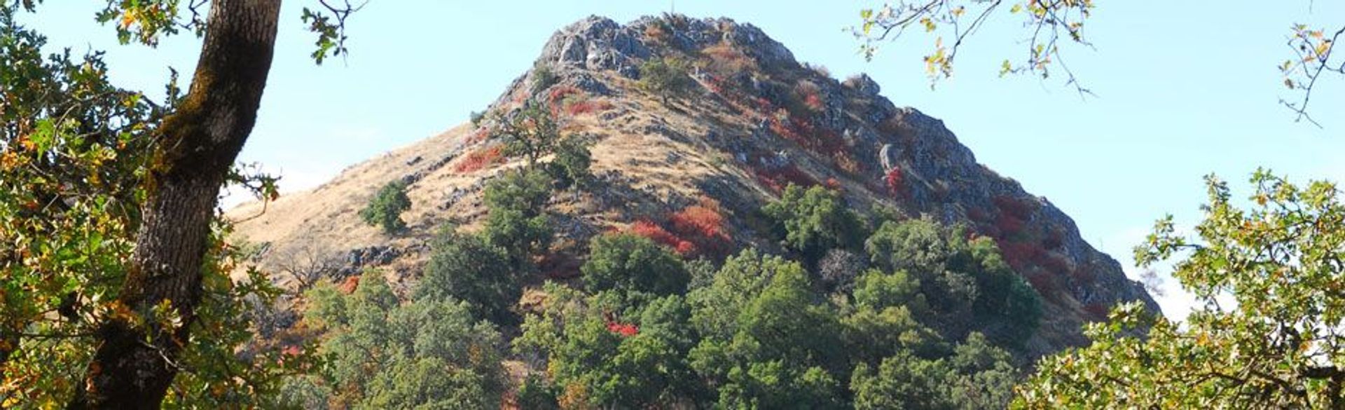 Image of California State Park