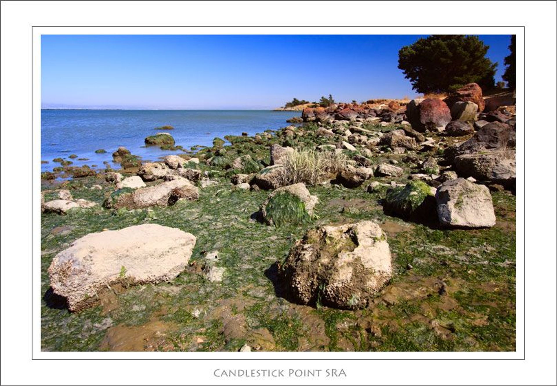 Image of California State Park