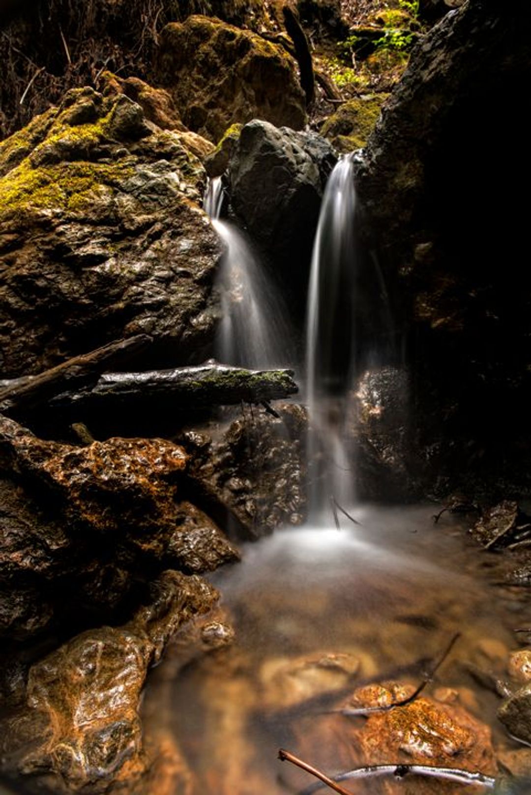 Image of California State Park