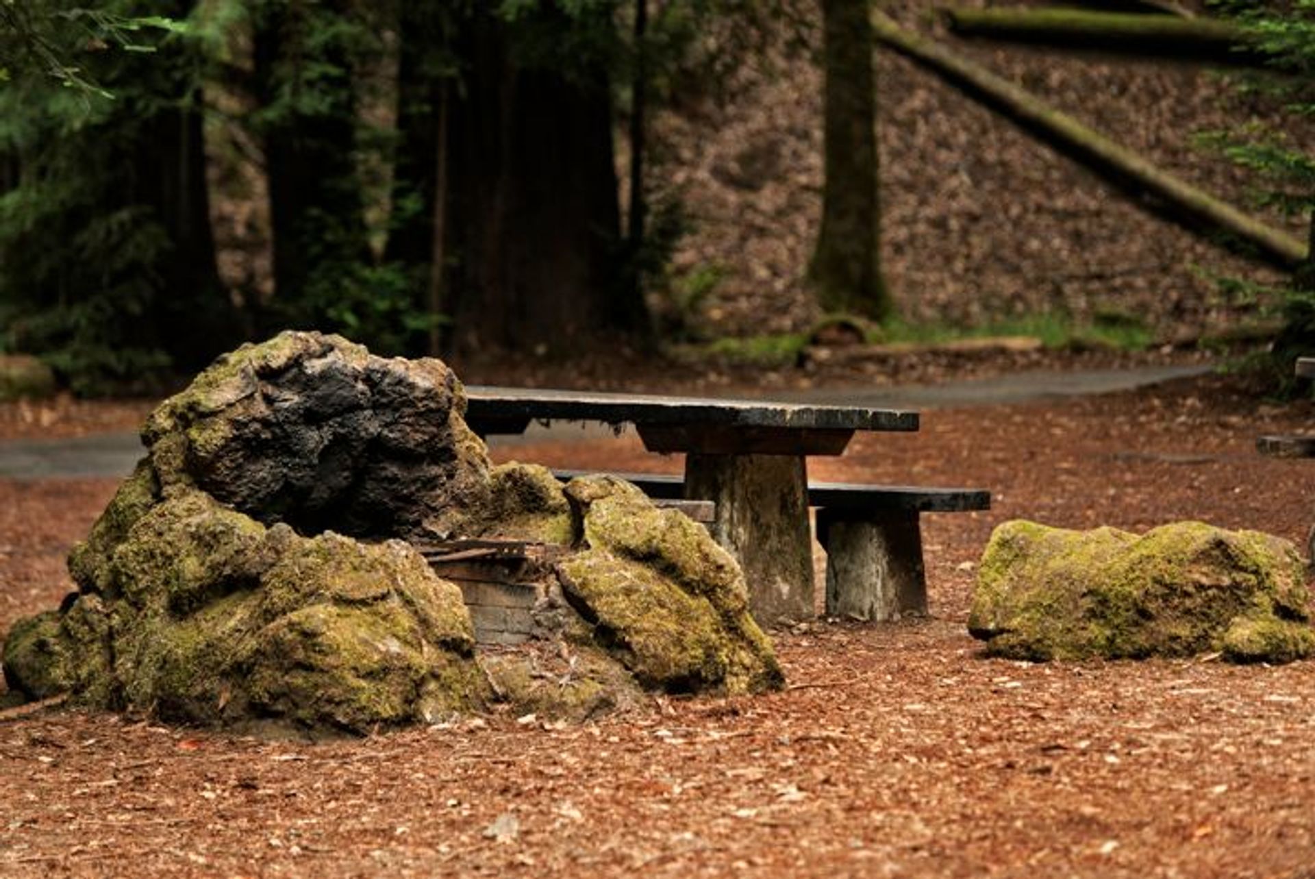 Image of California State Park