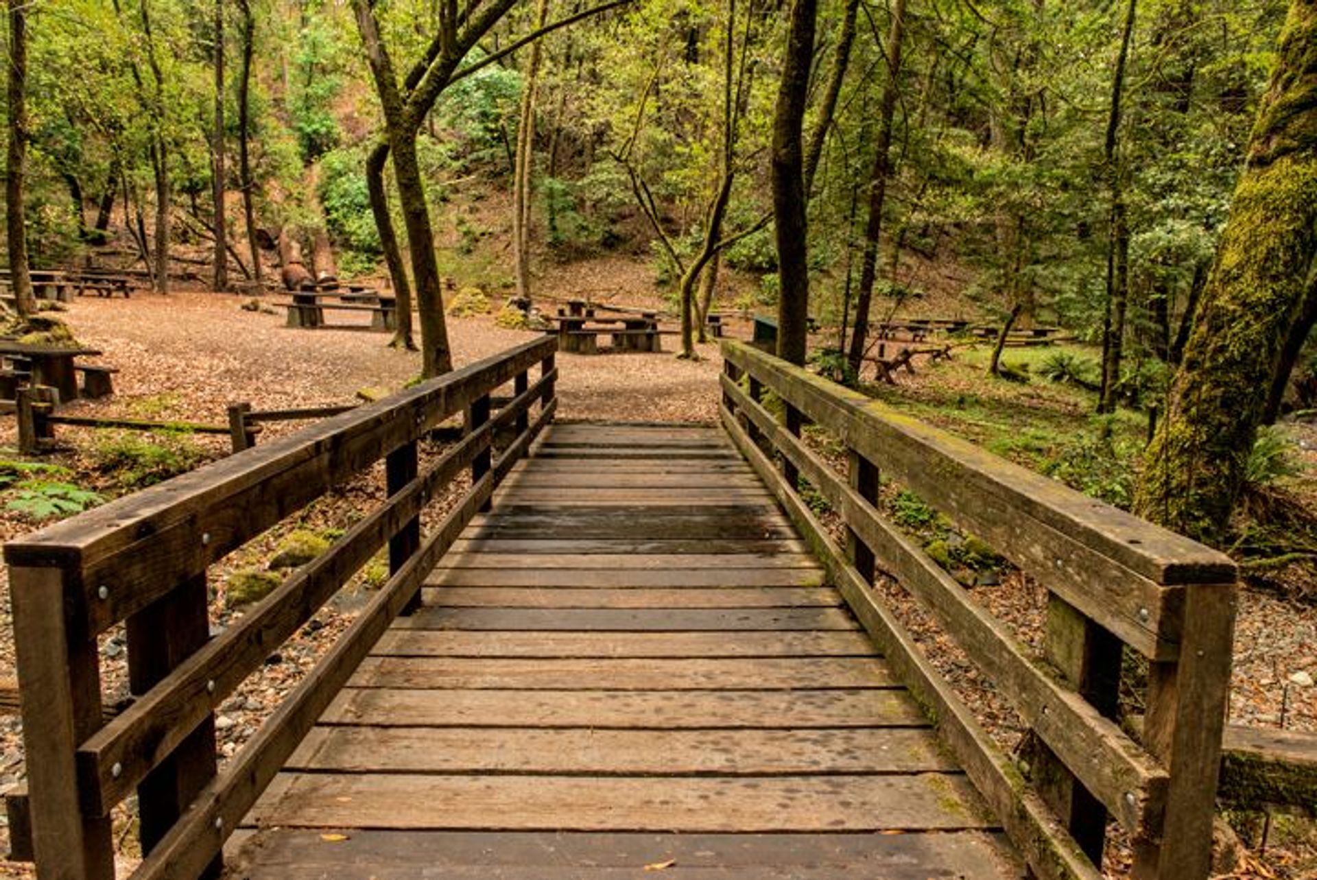 Image of California State Park