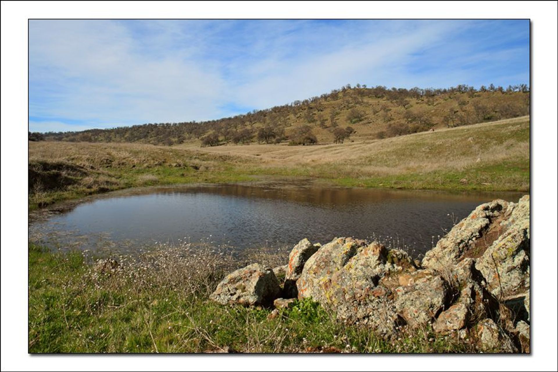 Image of California State Park