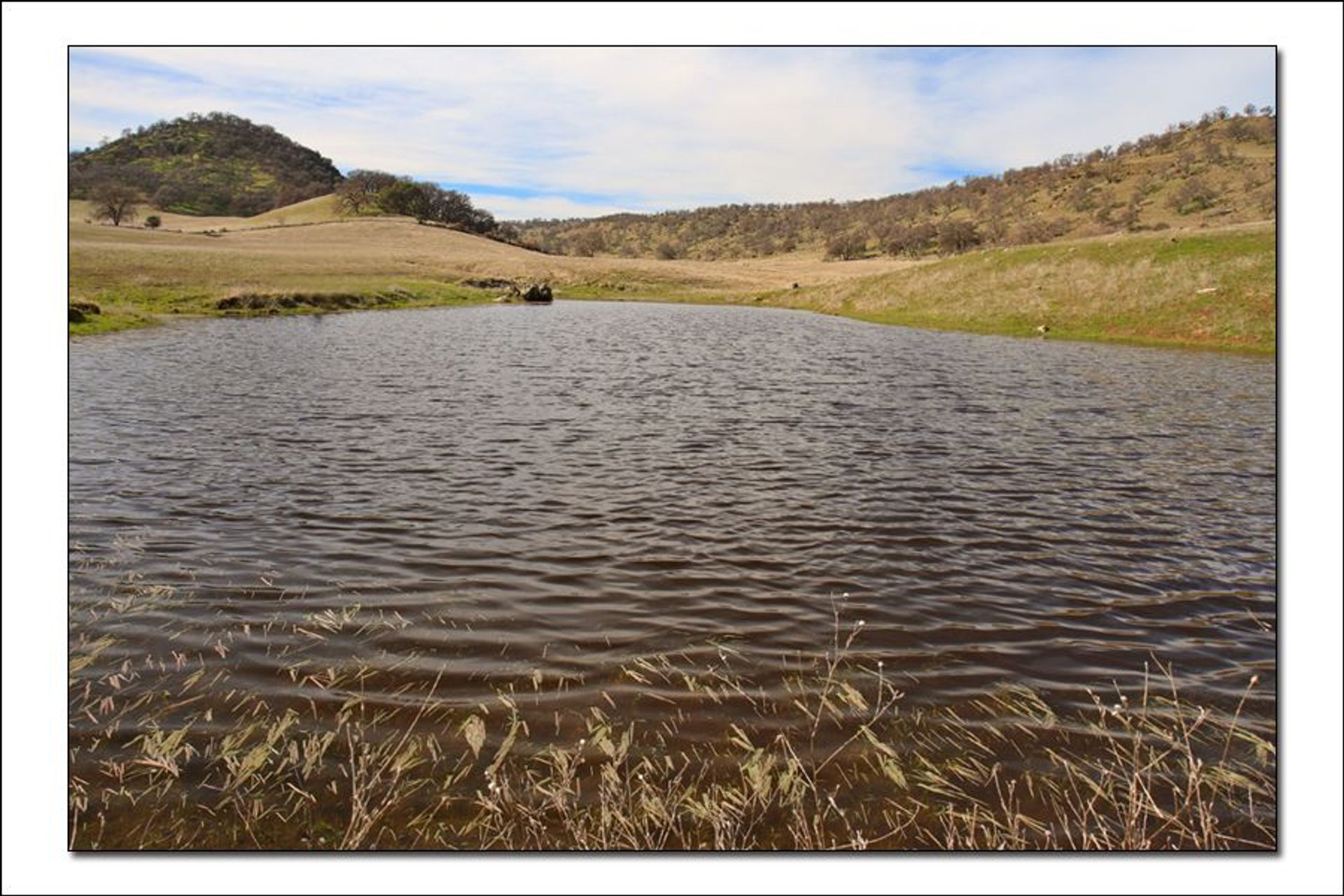 Image of California State Park