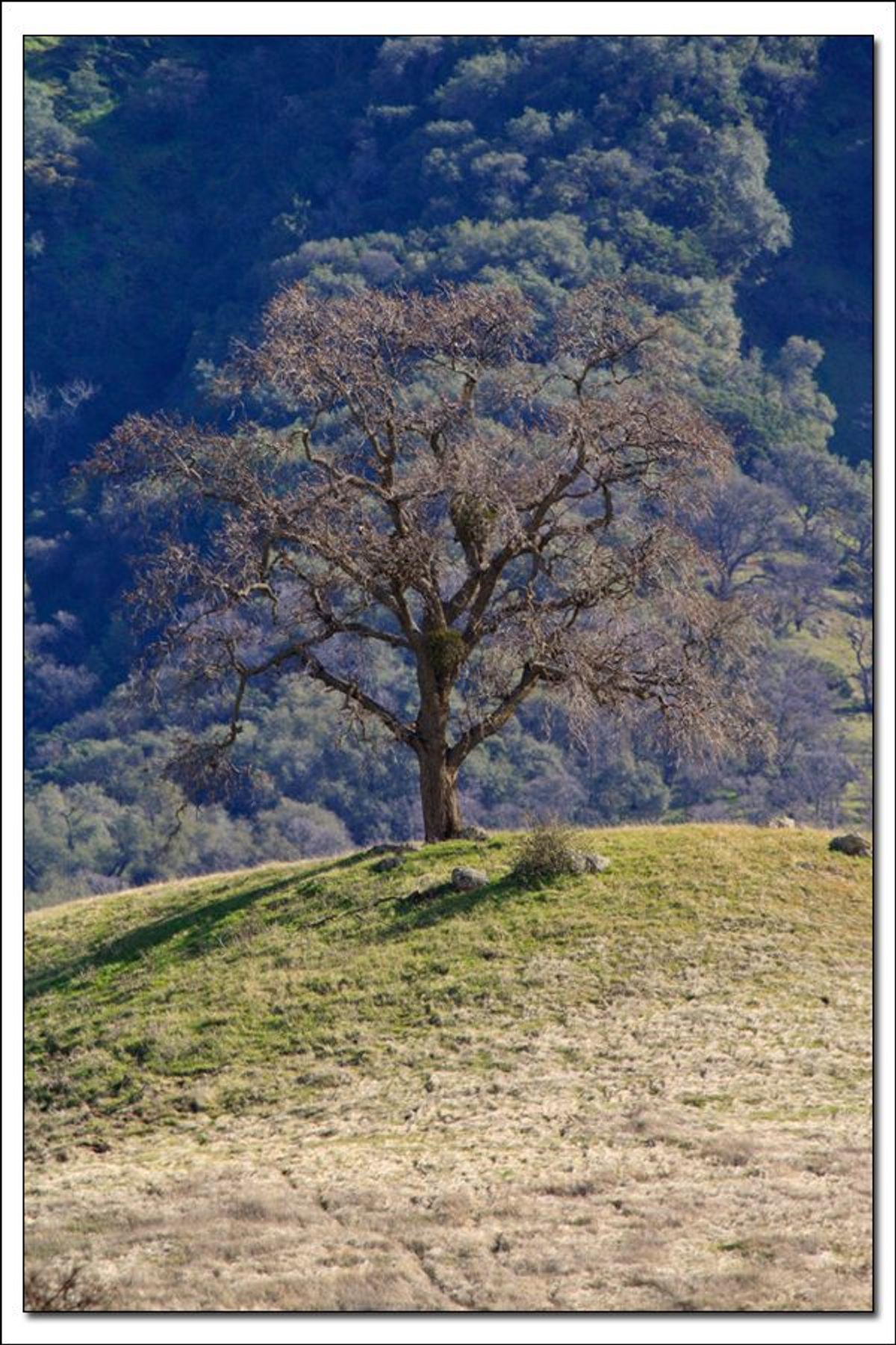 Image of California State Park