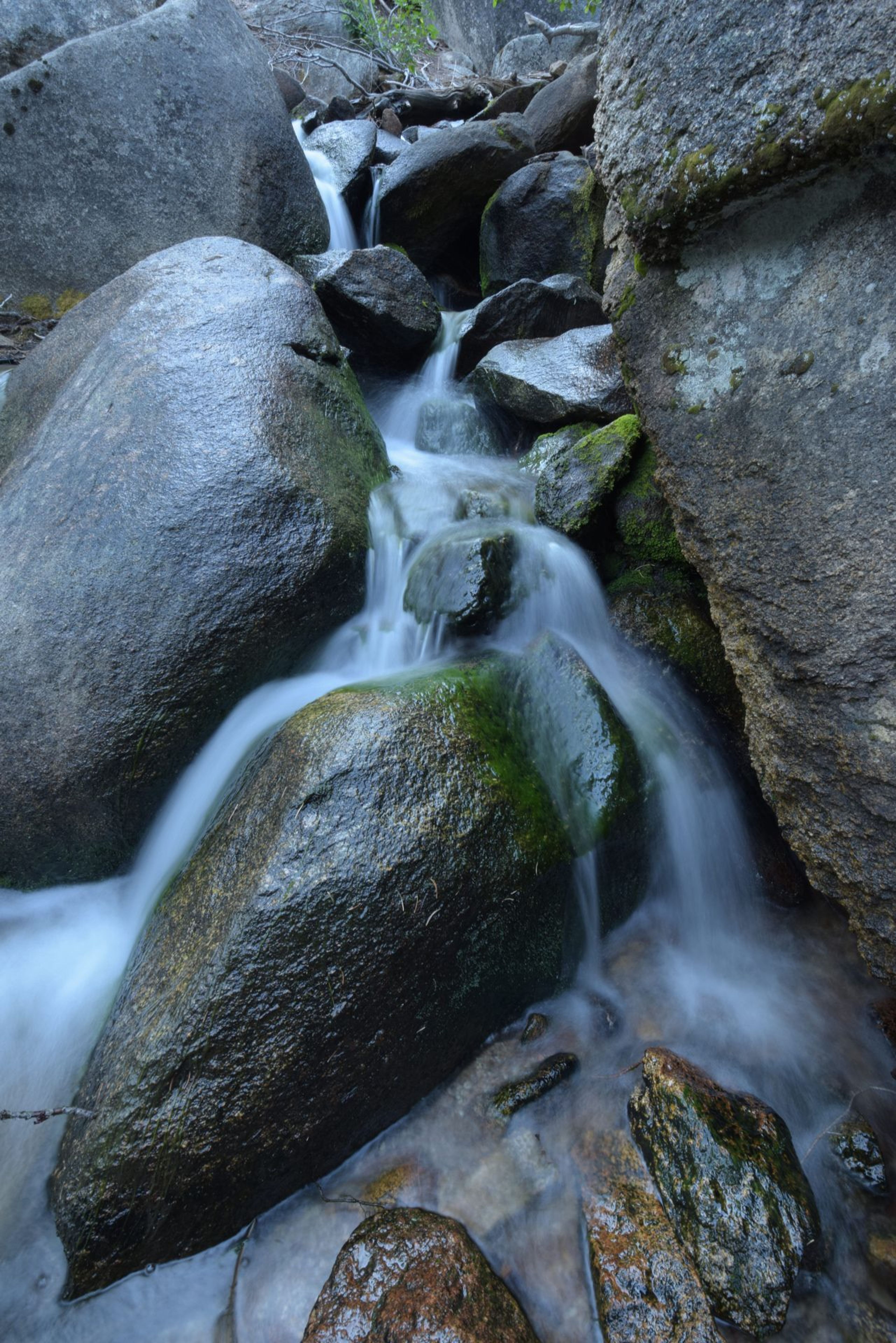 Image of California State Park