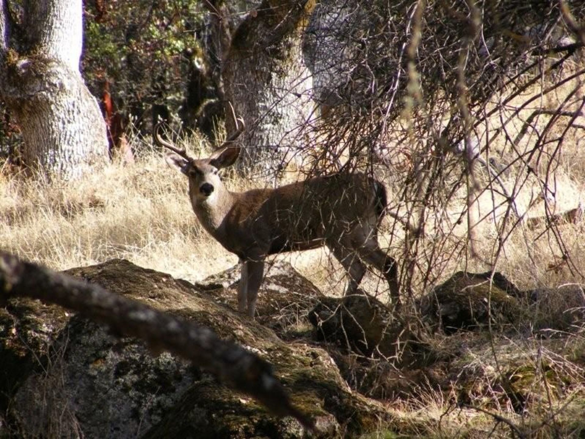 Image of California State Park