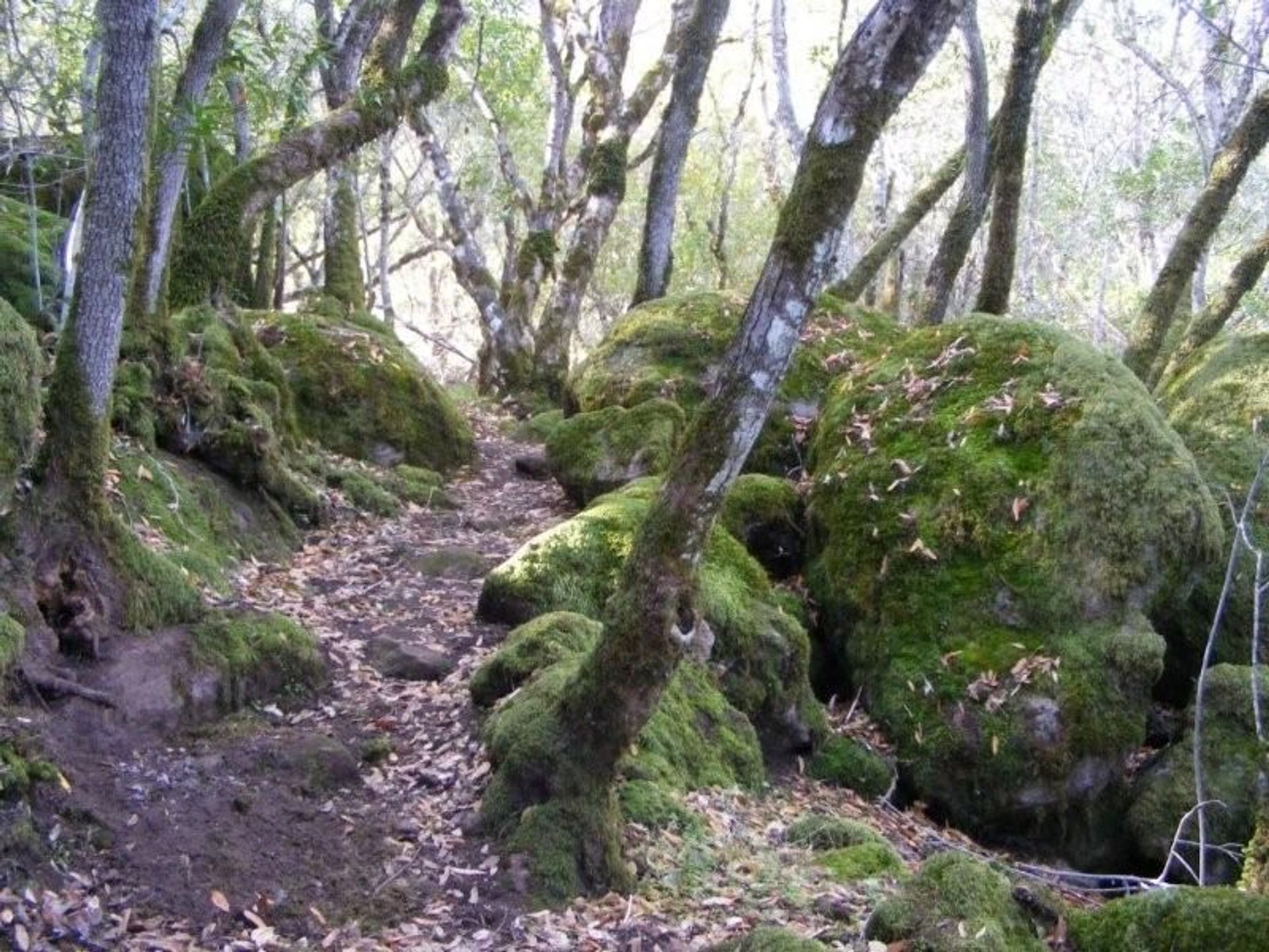 Image of California State Park