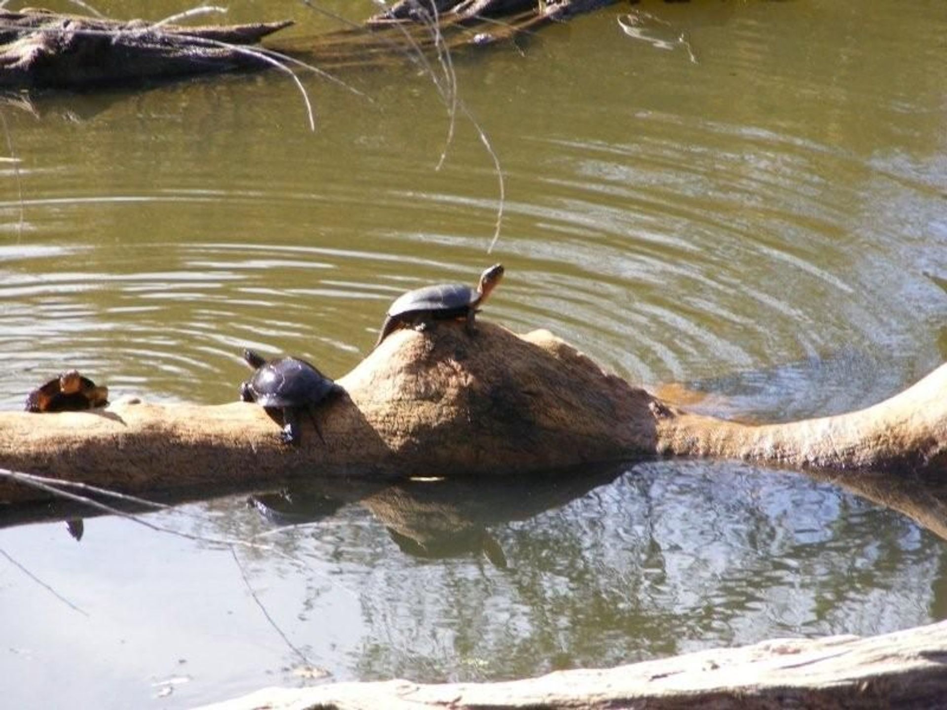 Image of California State Park