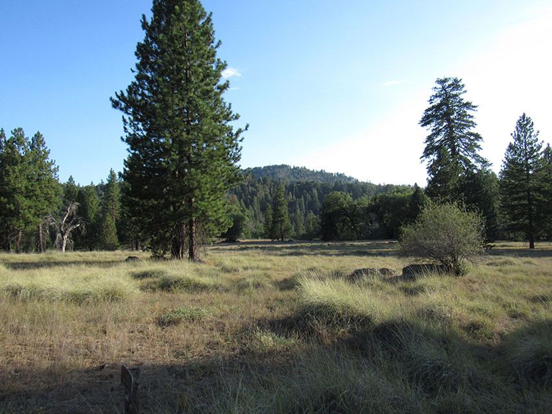 Image of California State Park