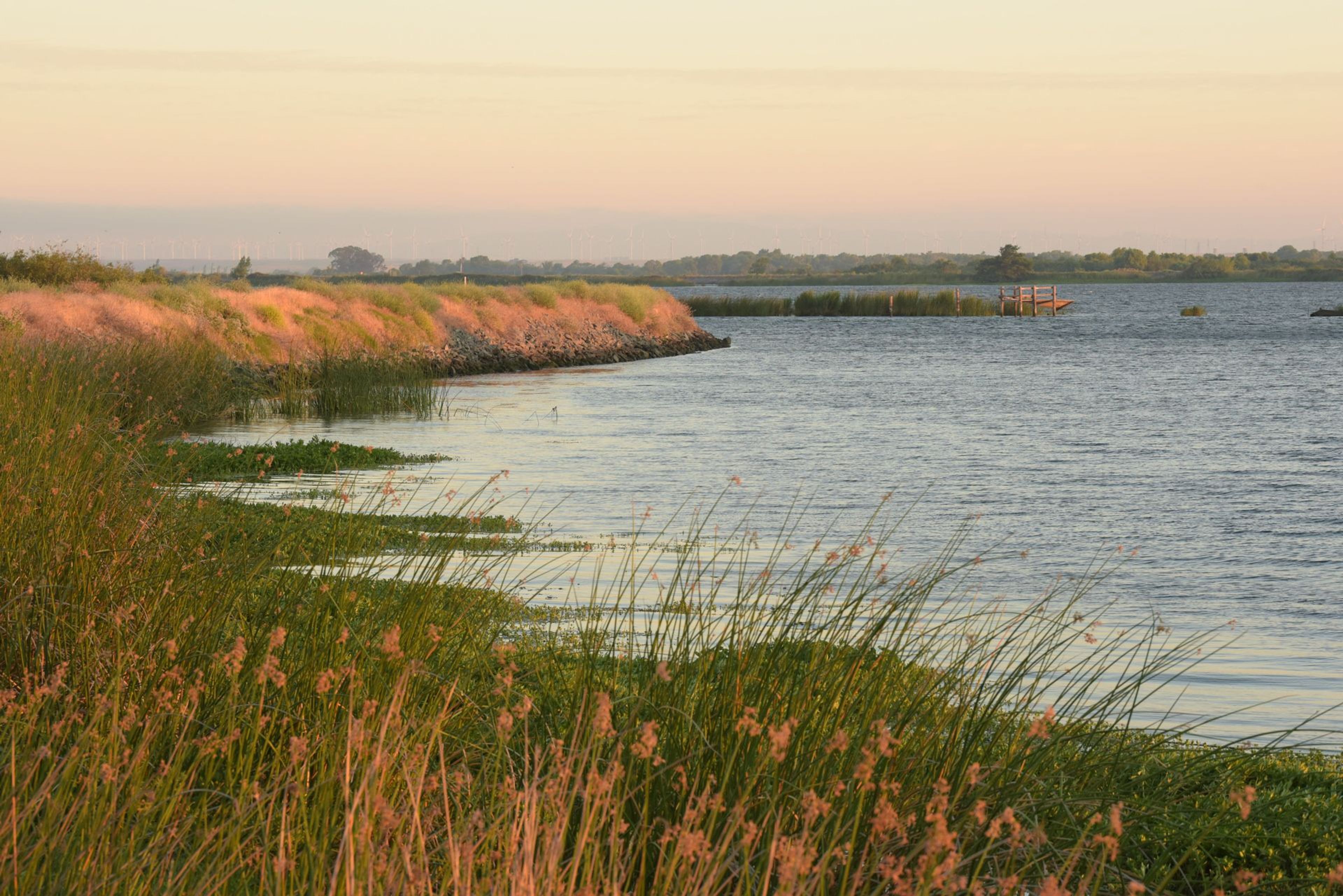 Image of California State Park