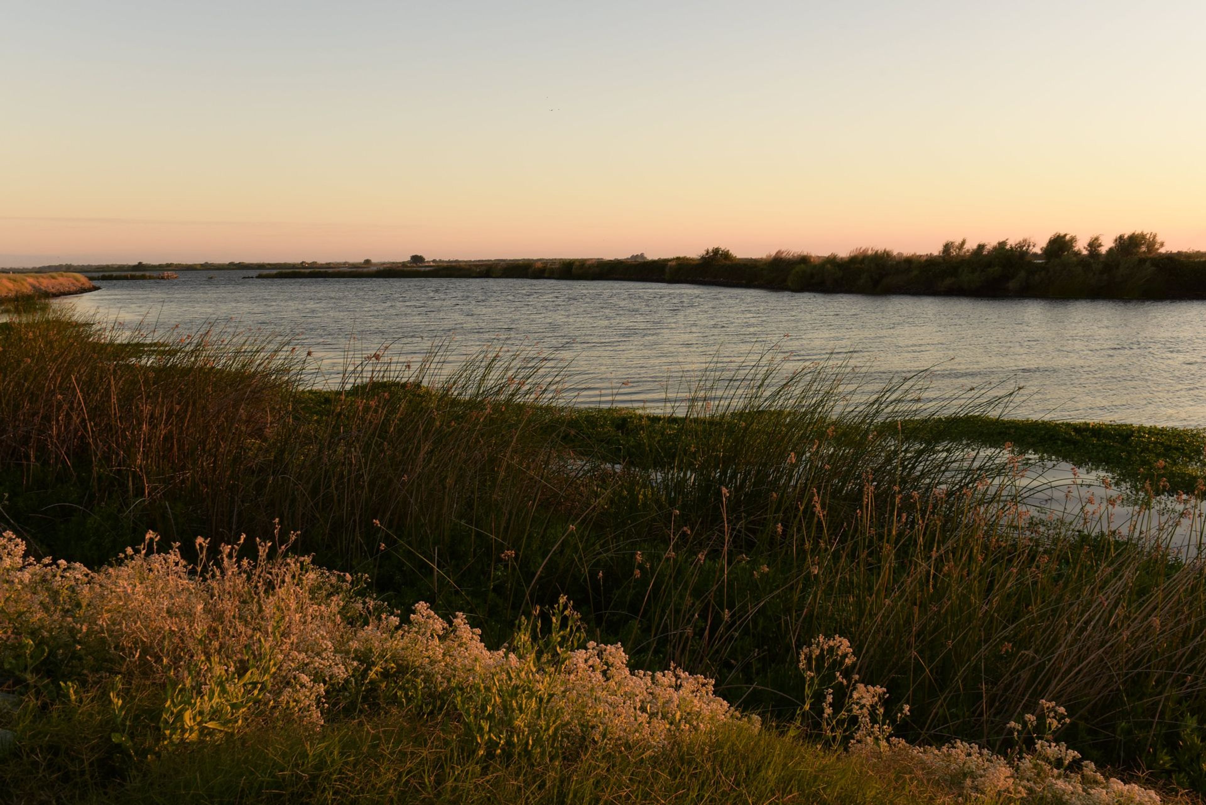 Image of California State Park