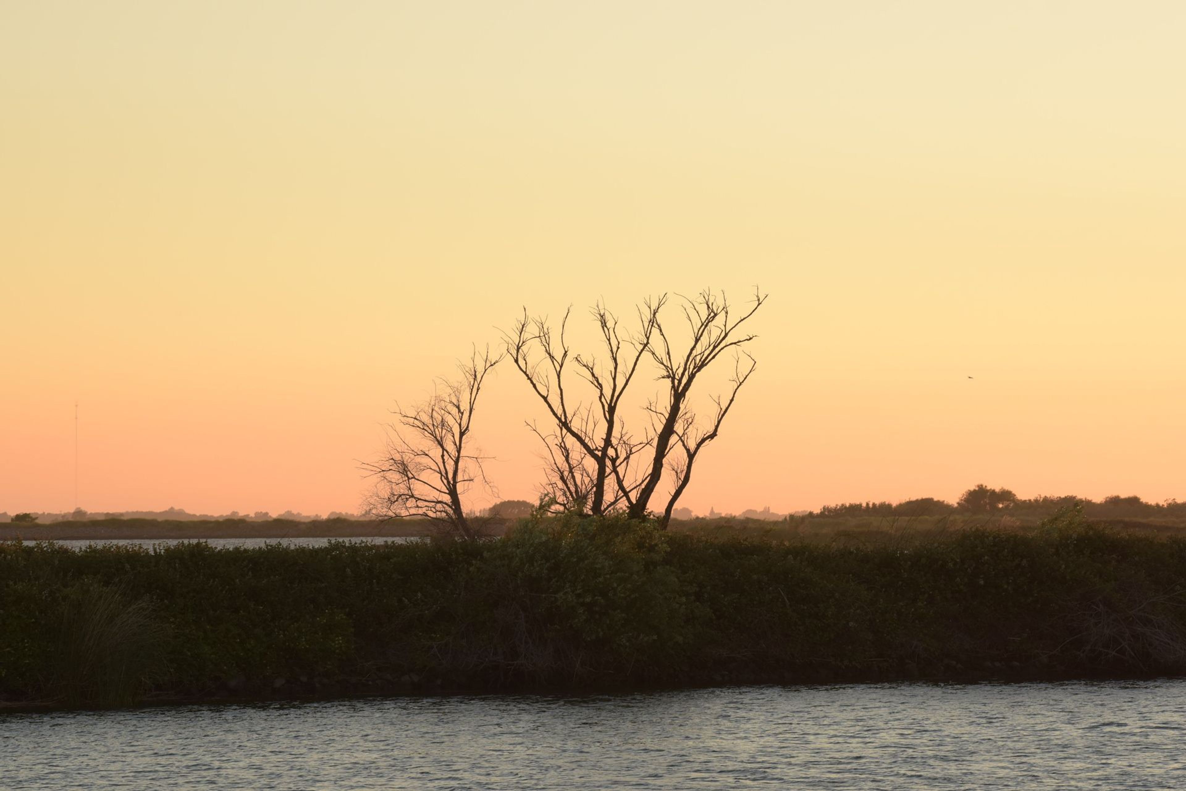 Image of California State Park