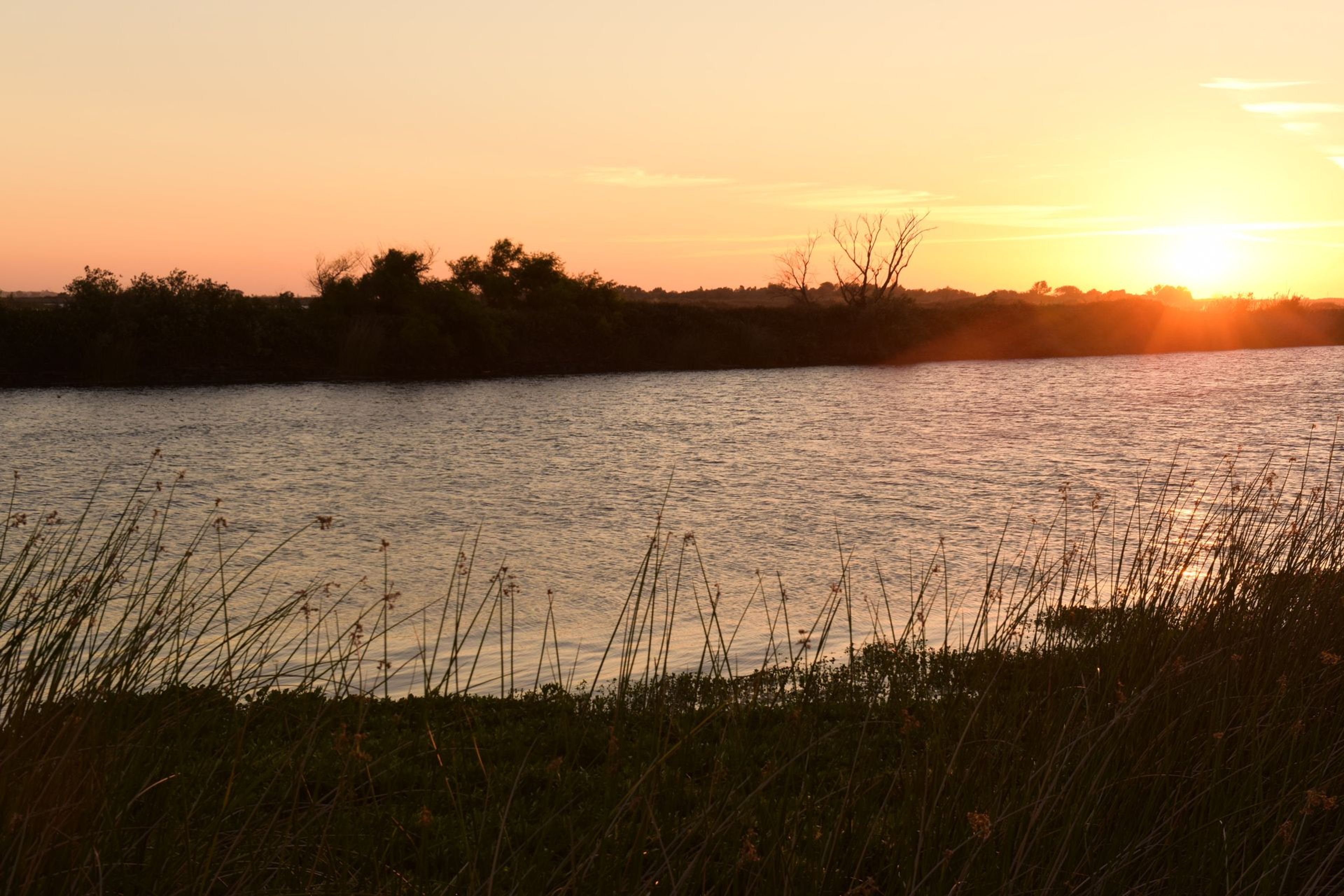 Image of California State Park