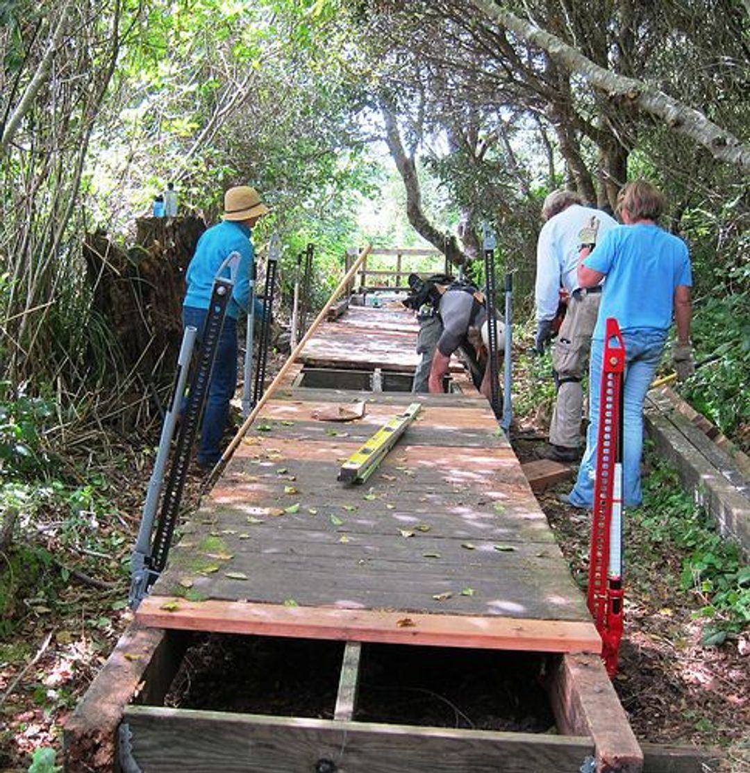 Image of California State Park