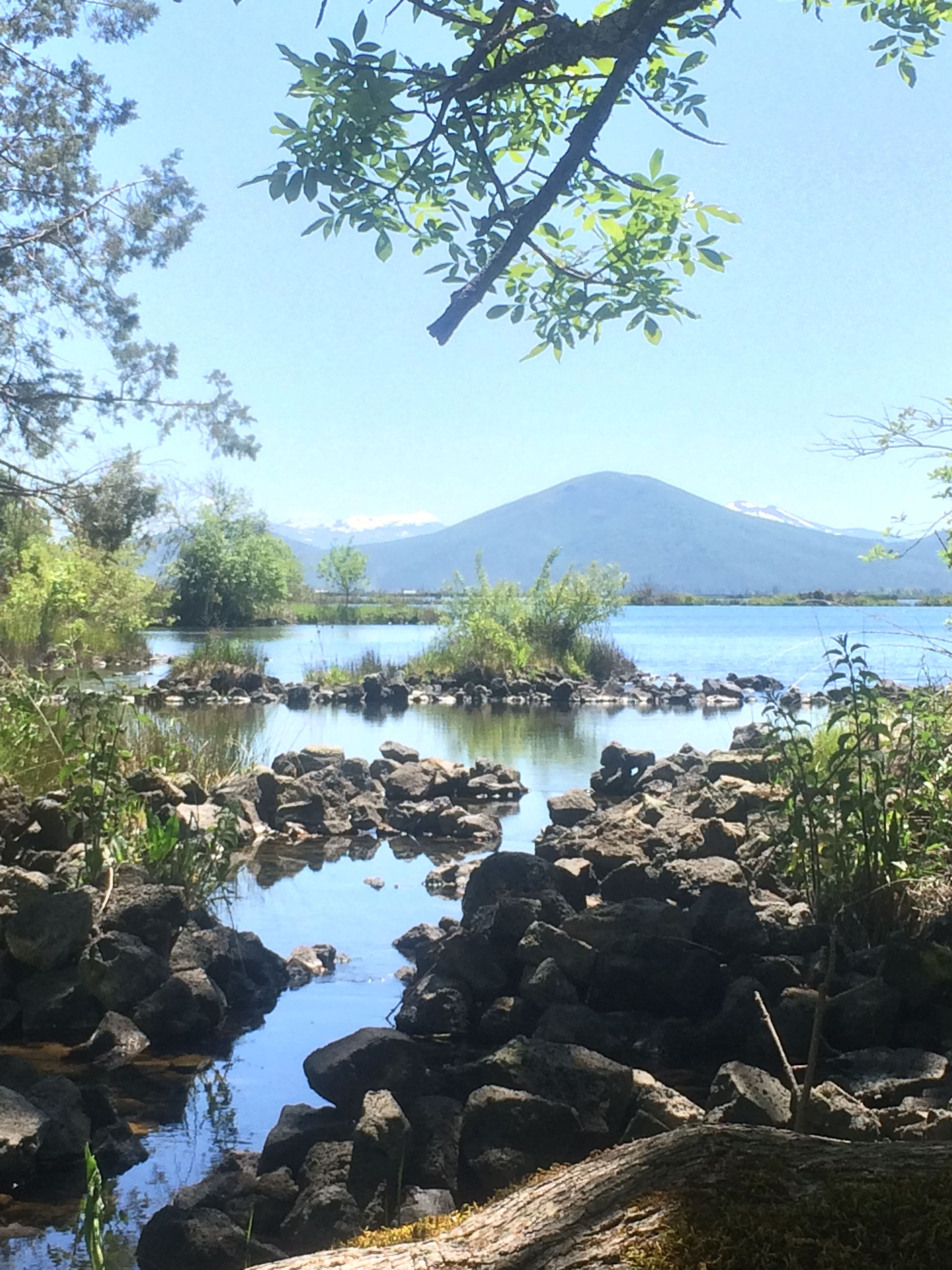 Image of California State Park