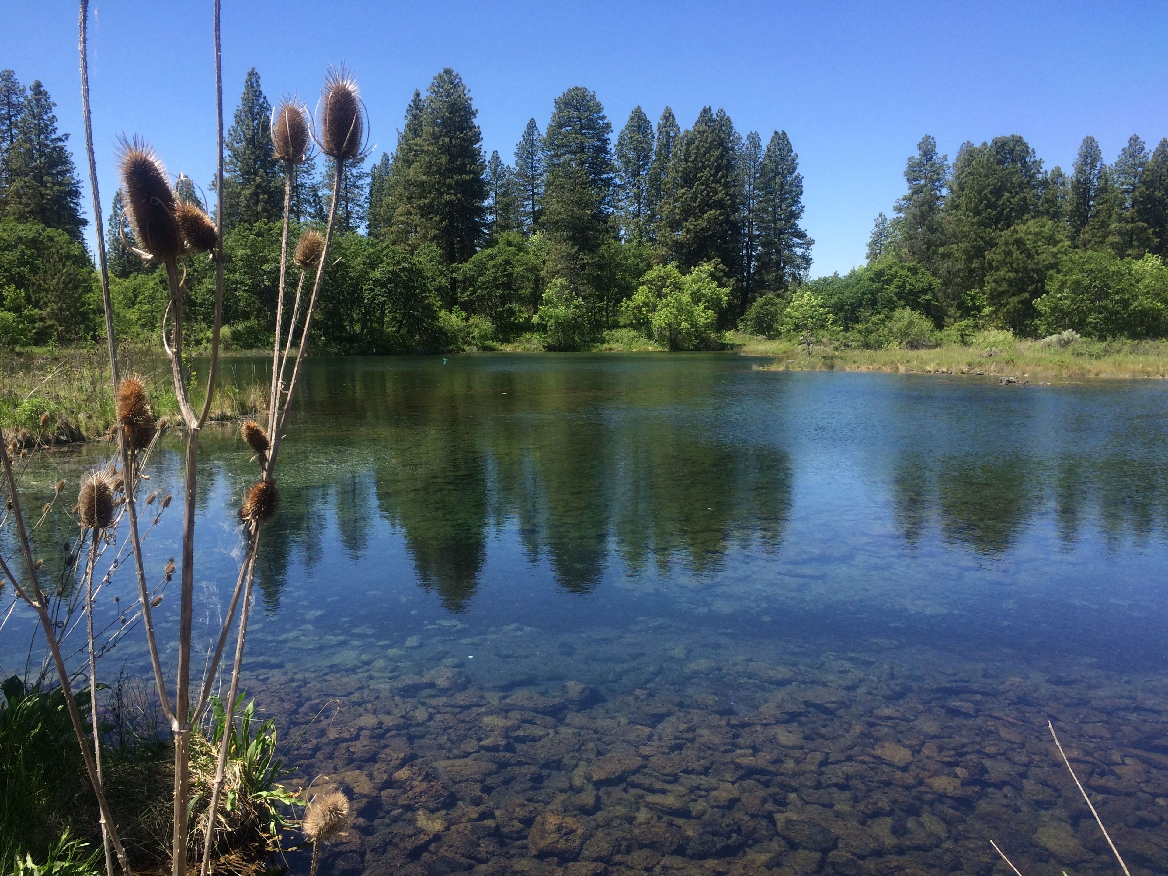 Image of California State Park