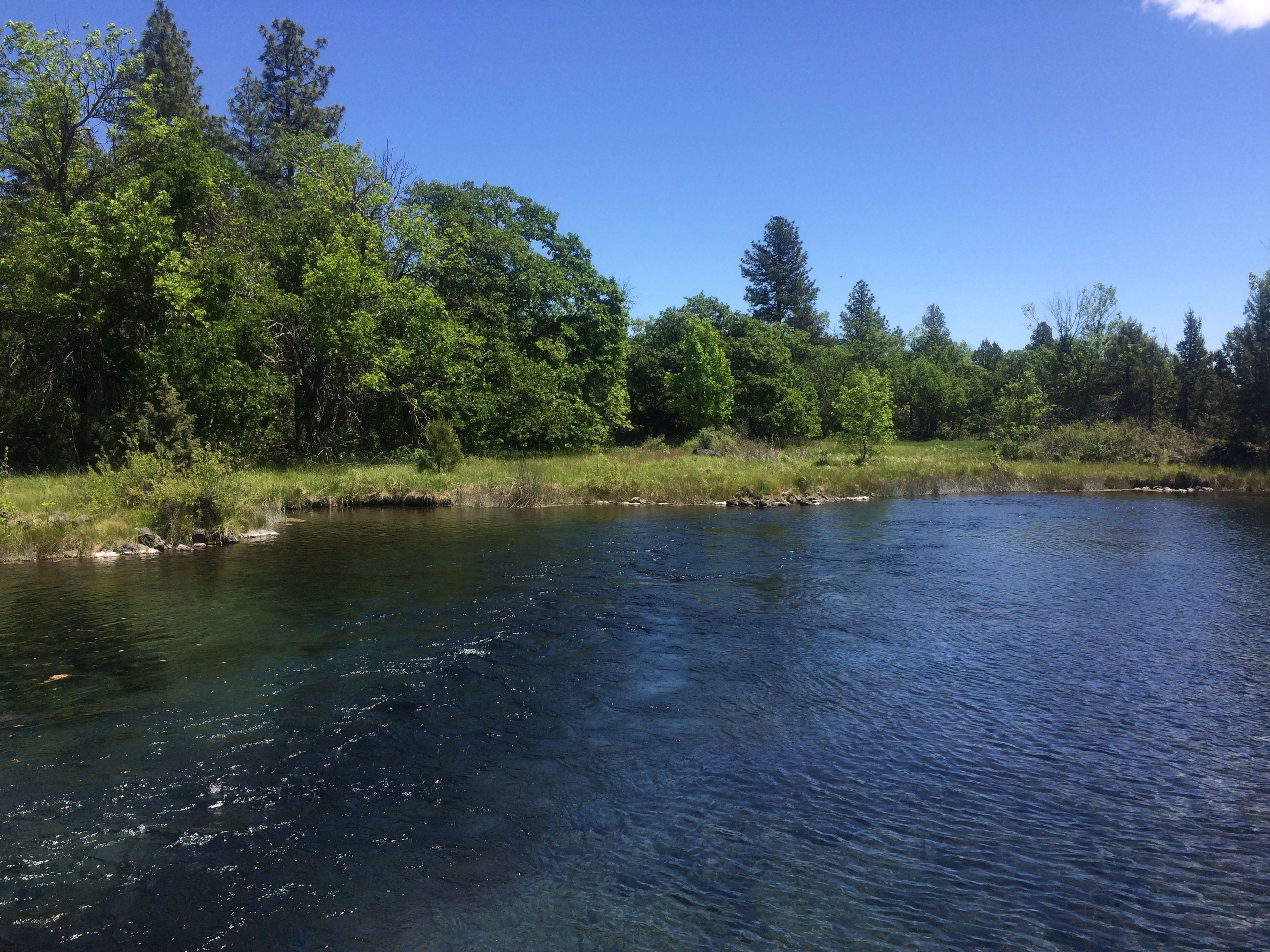 Image of California State Park