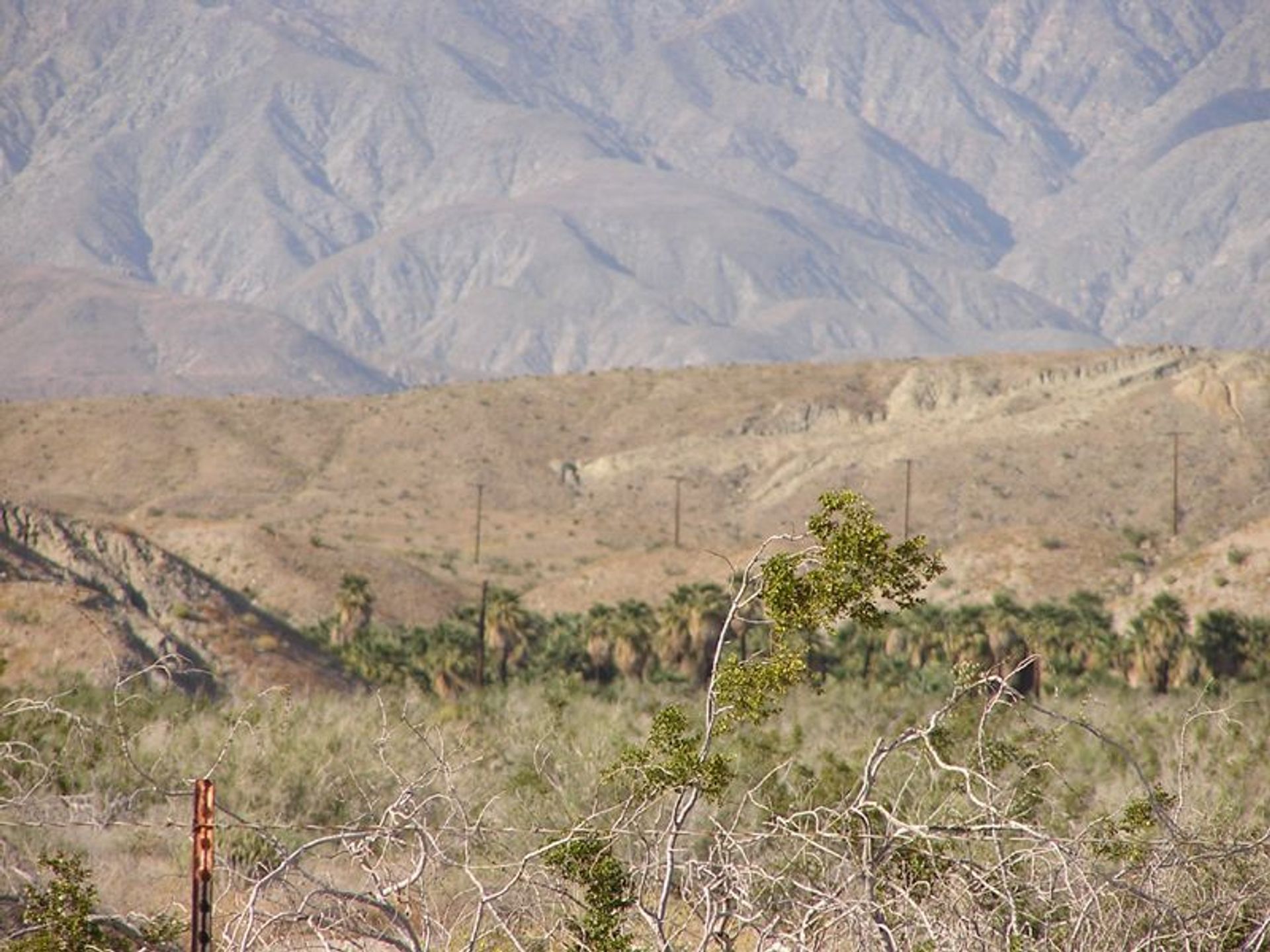 Image of California State Park