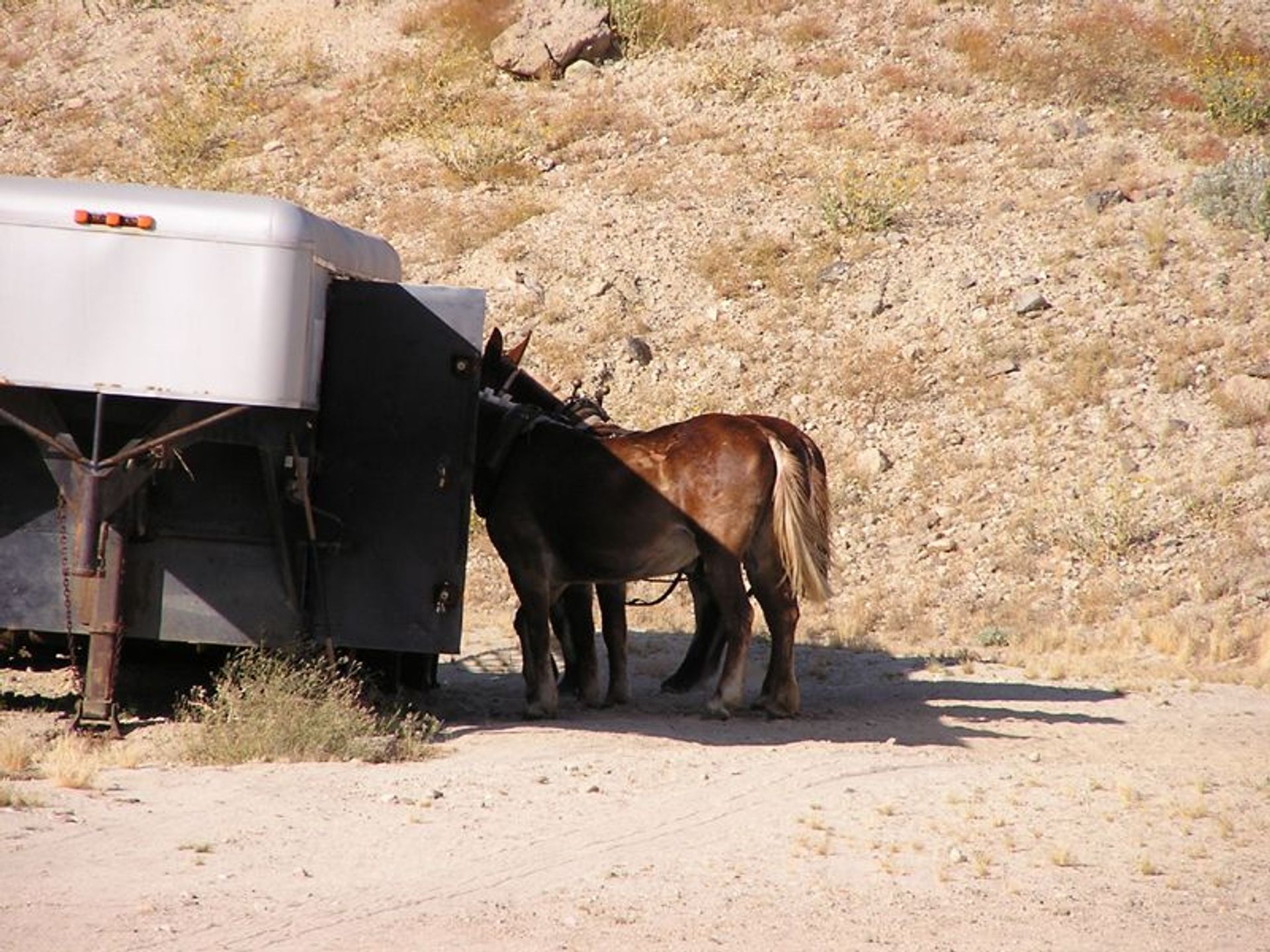 Image of California State Park