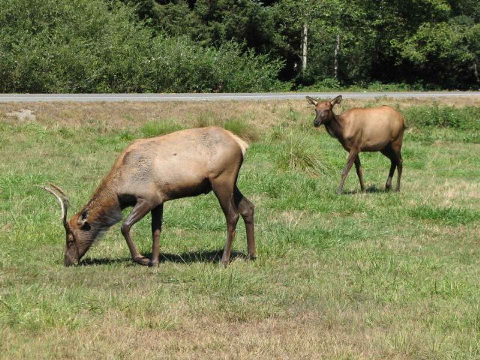 Image of California State Park