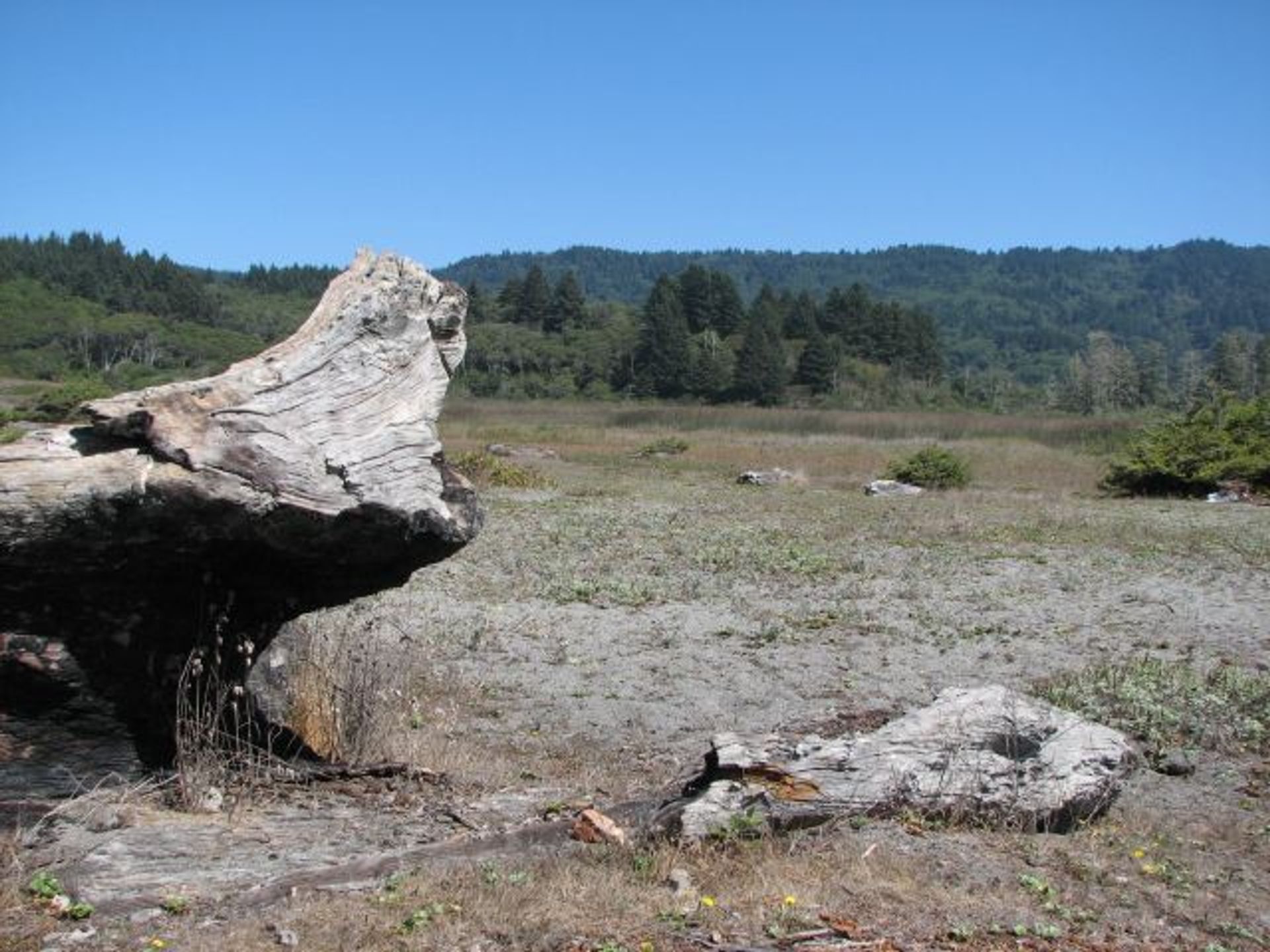 Image of California State Park