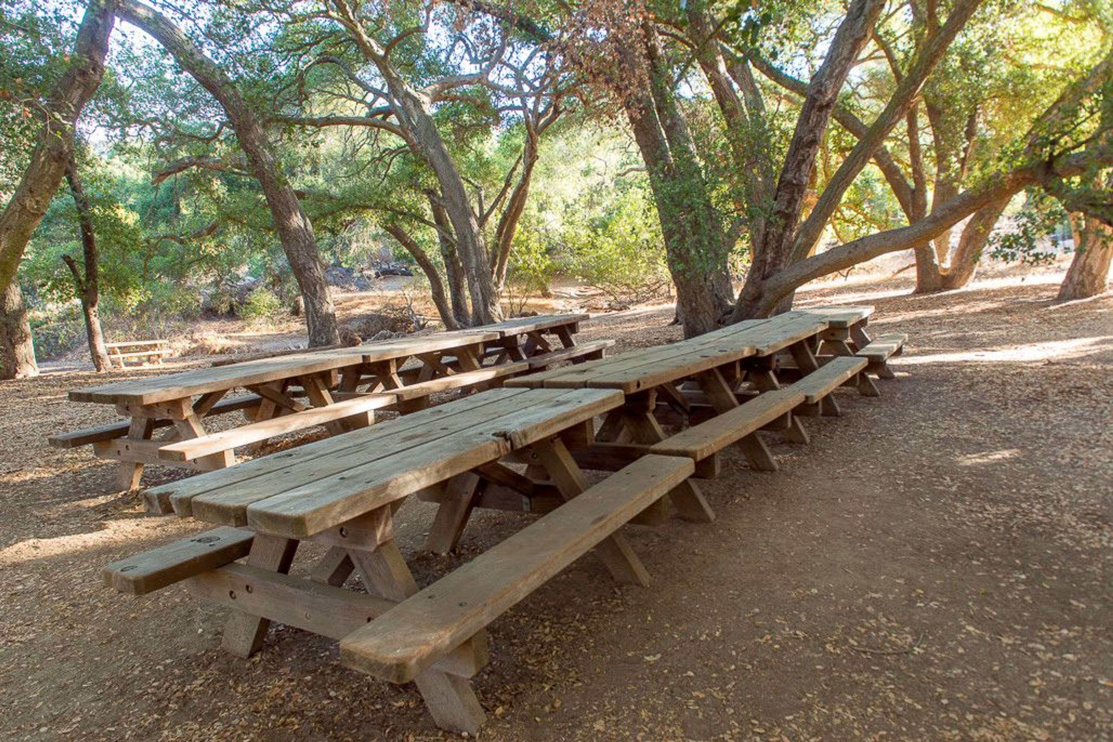 Image of California State Park