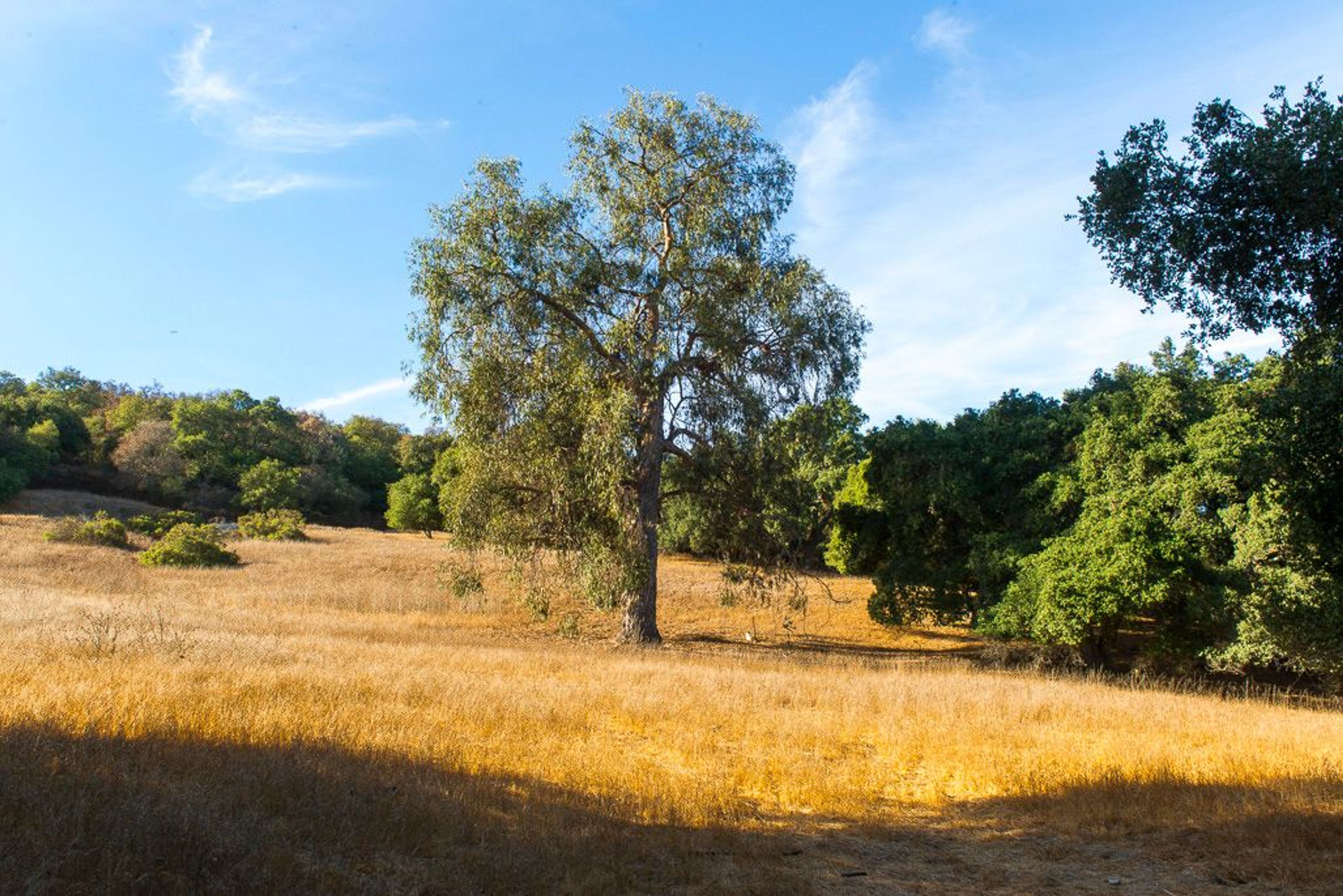 Image of California State Park