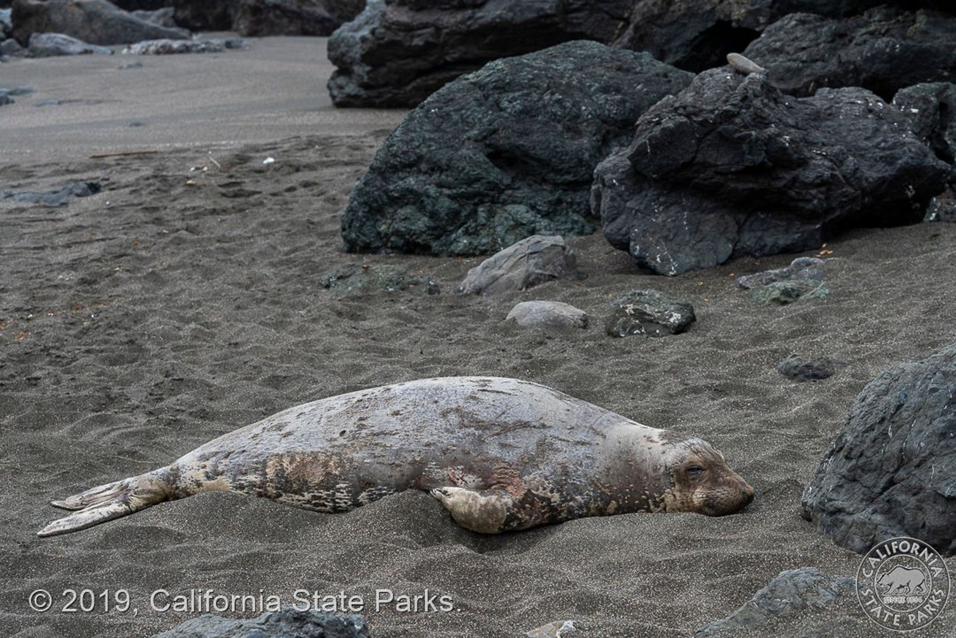 Image of California State Park