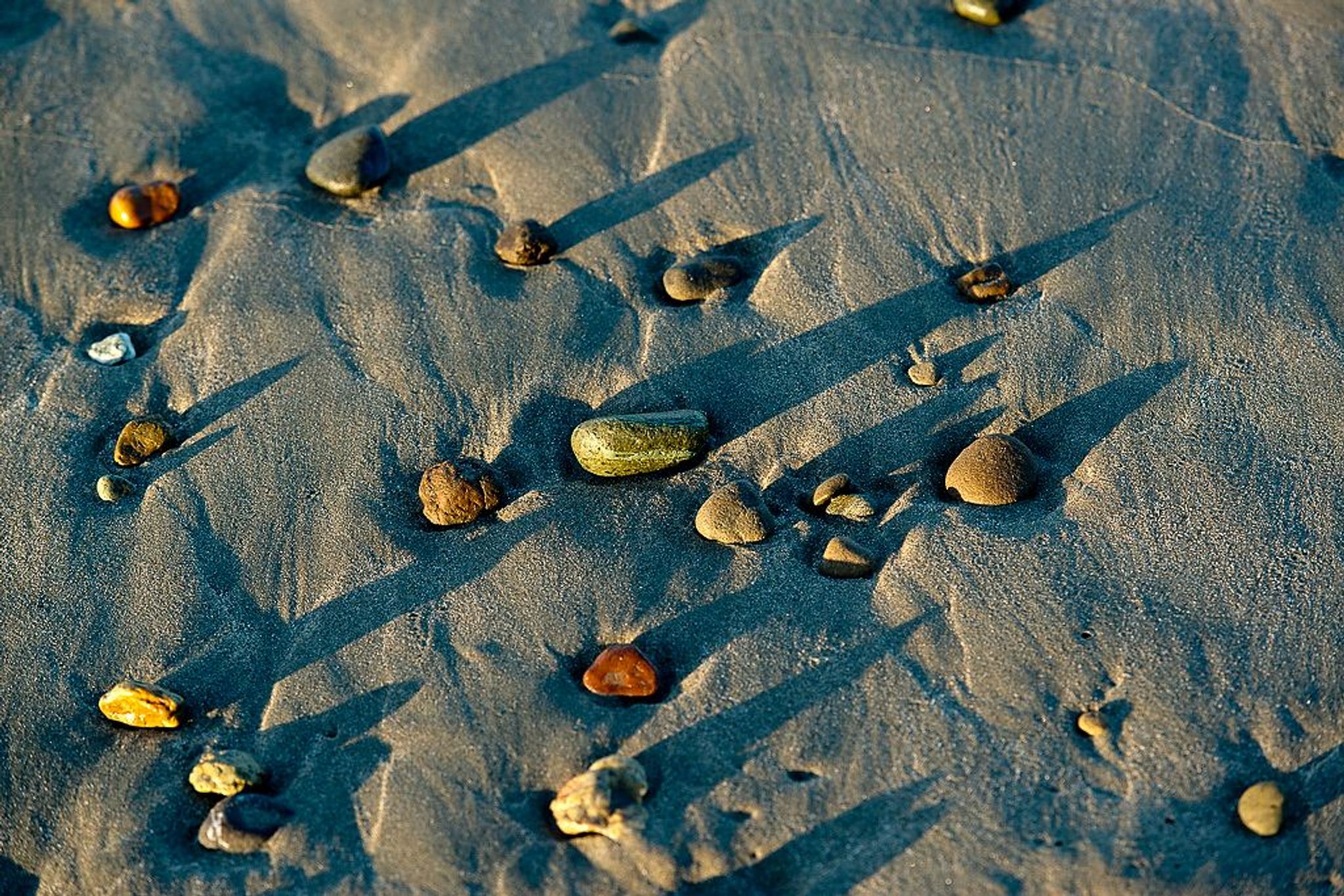 Image of California State Park