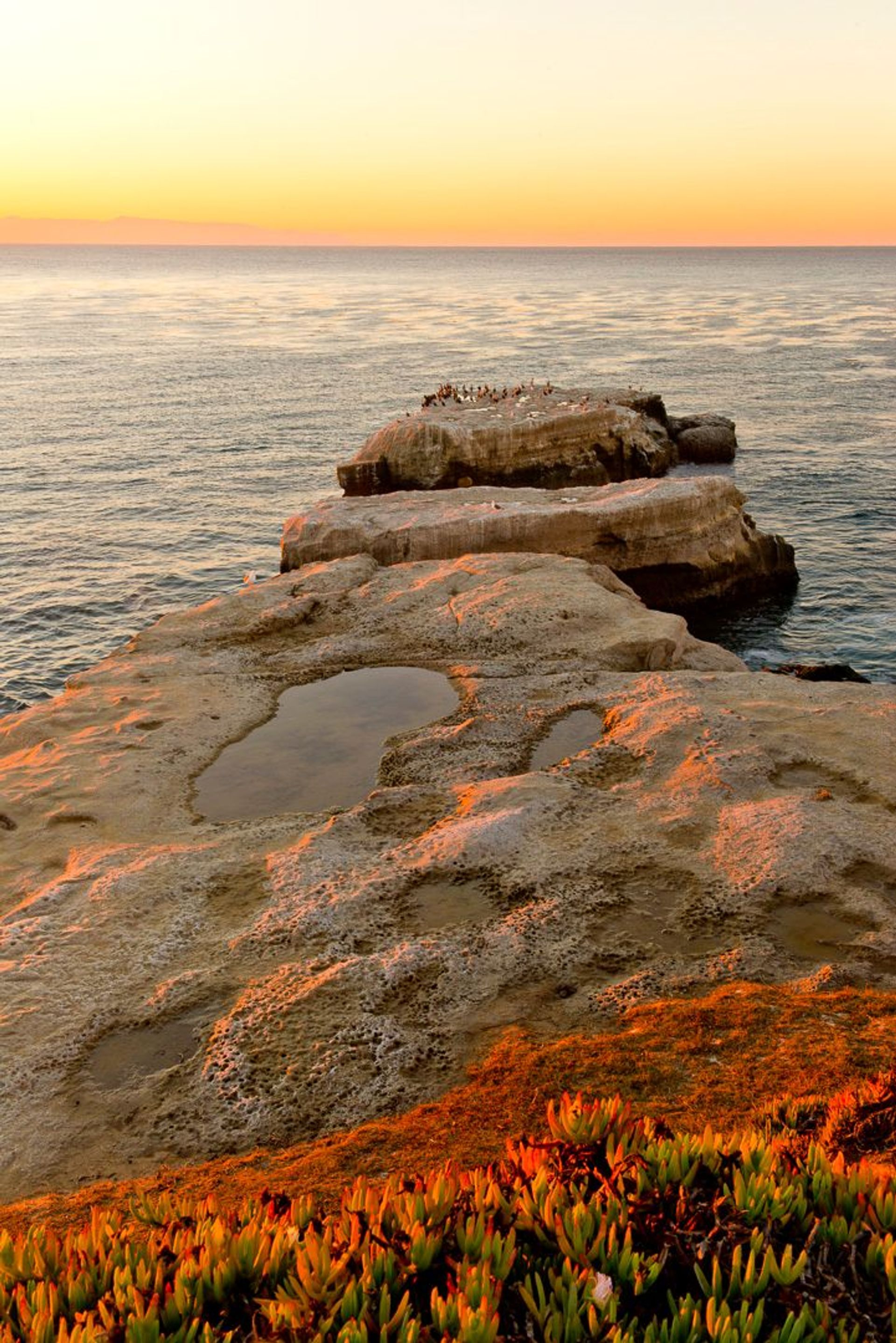 Image of California State Park