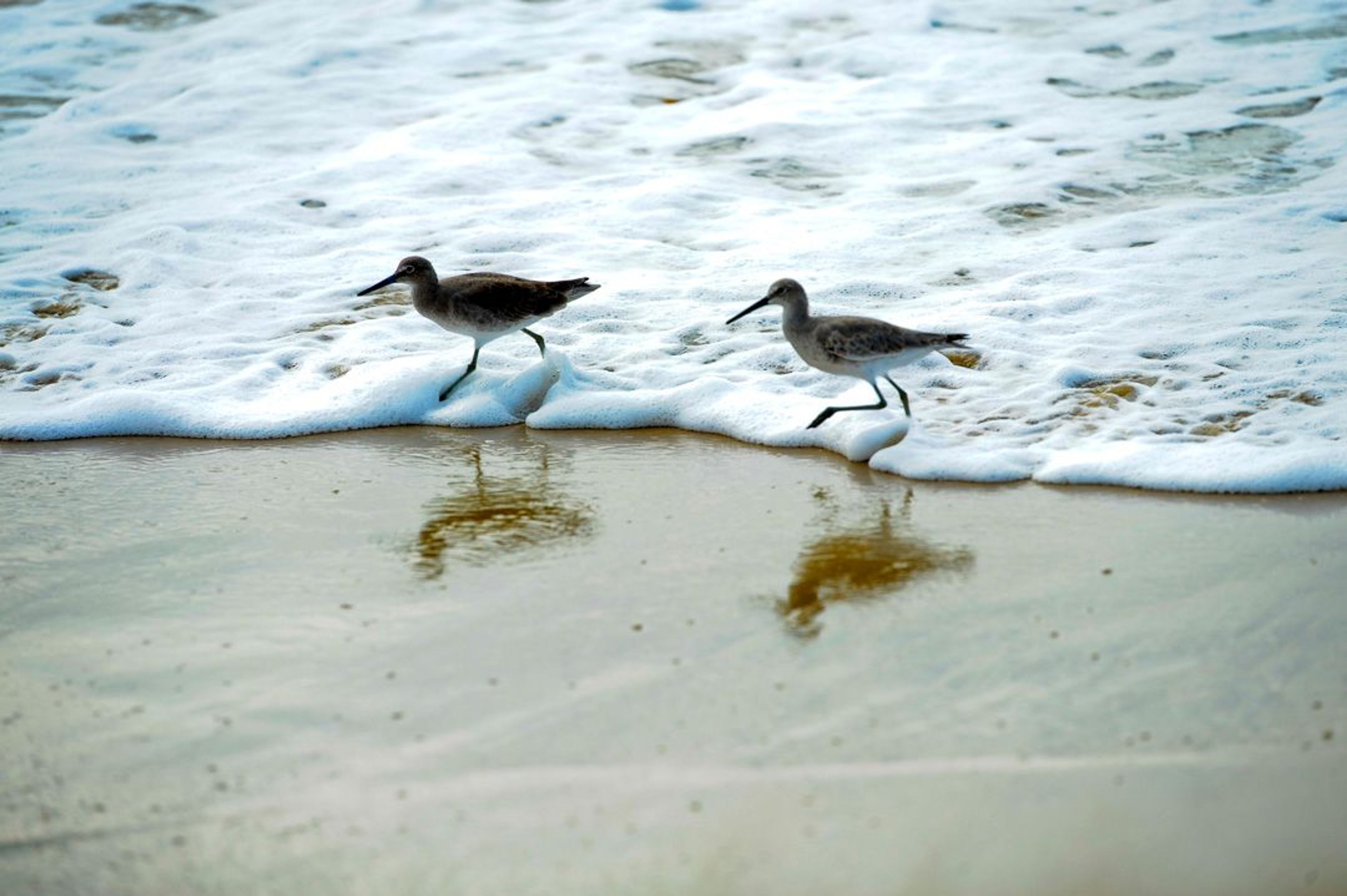 Image of California State Park