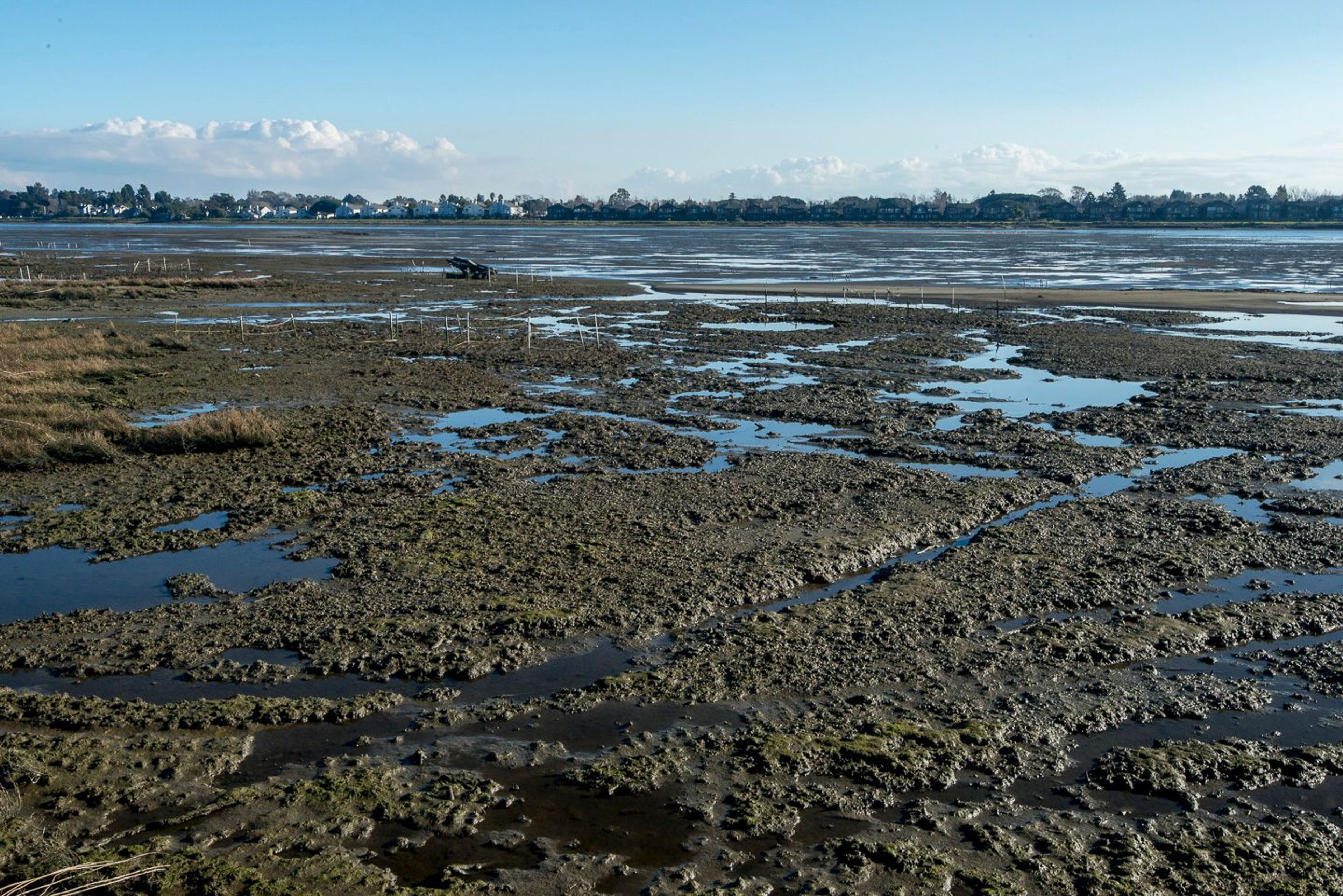 Image of California State Park