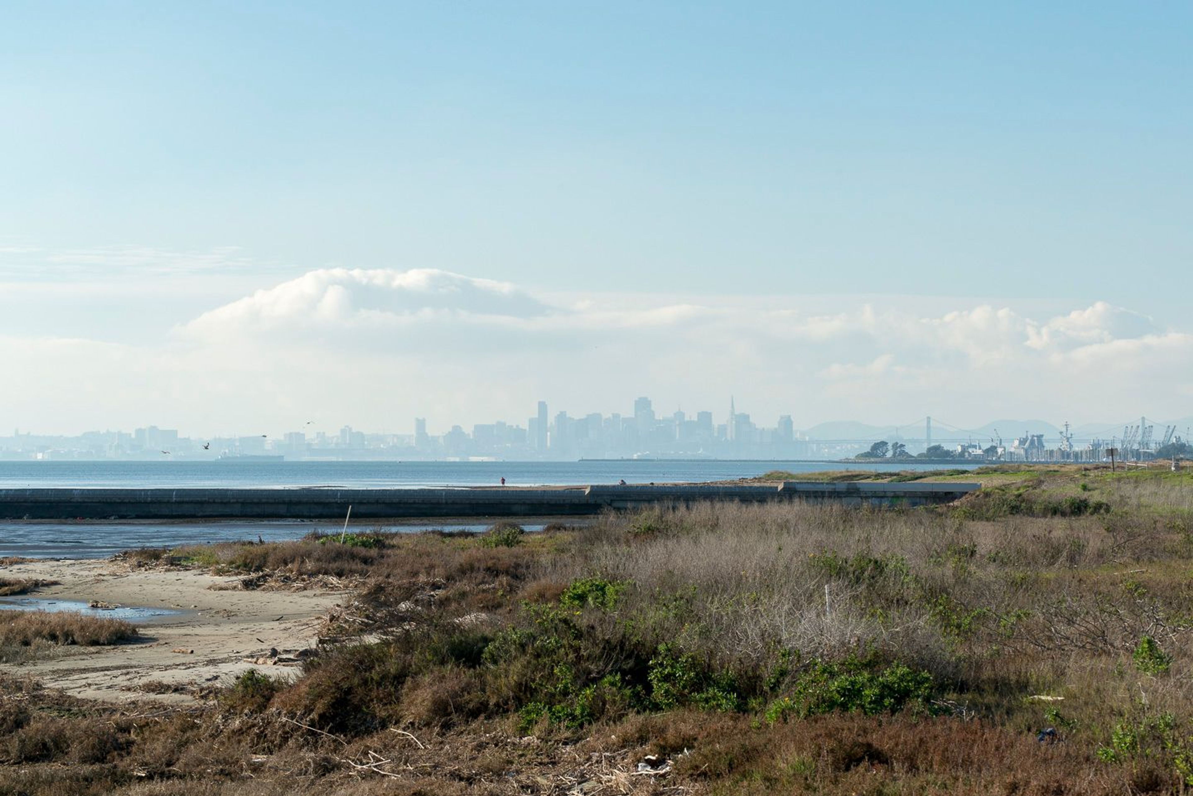 Image of California State Park