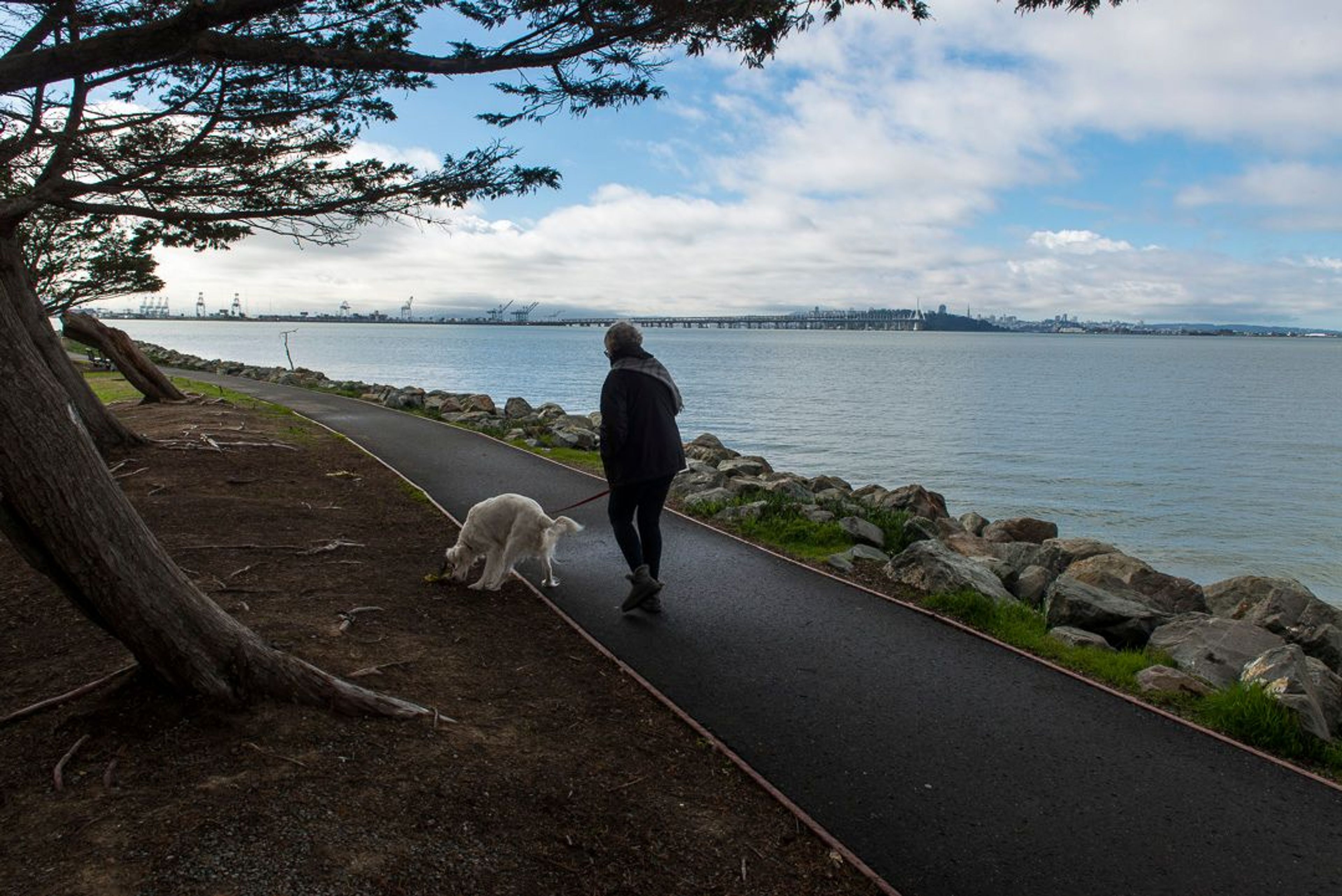 Image of California State Park