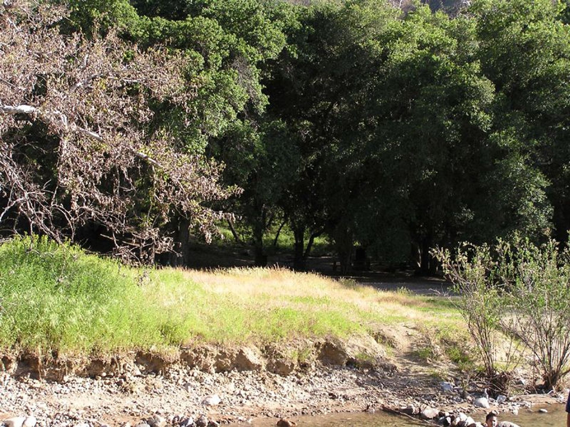 Image of California State Park