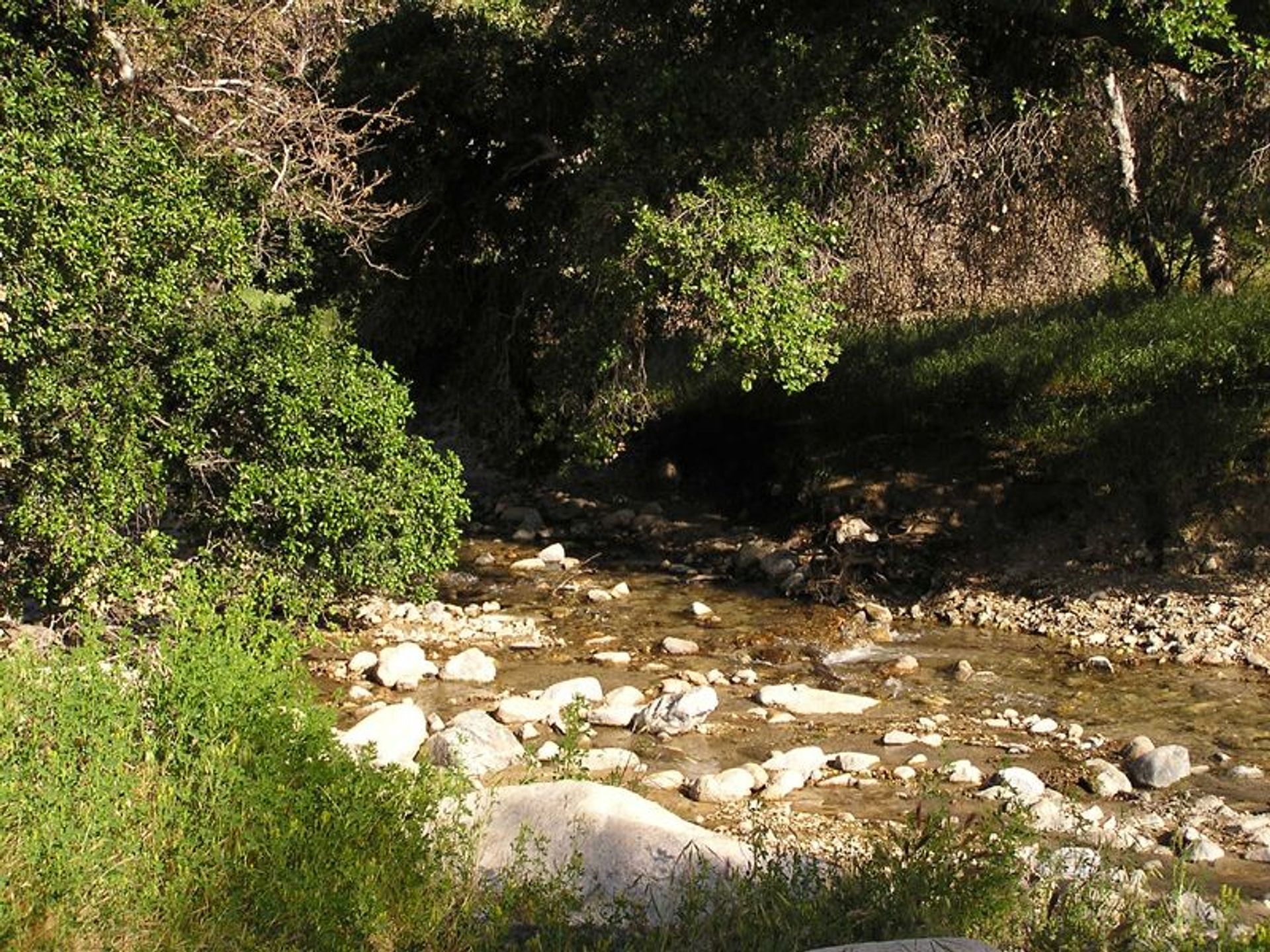 Image of California State Park