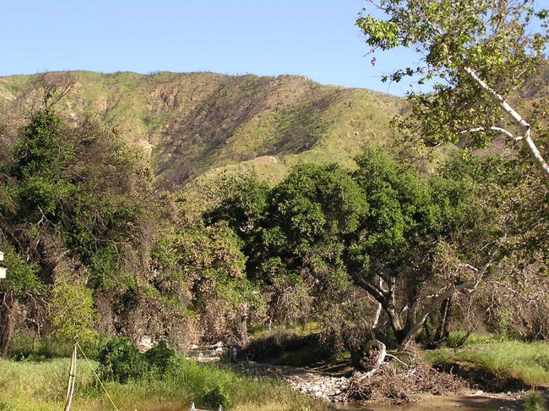 Image of California State Park