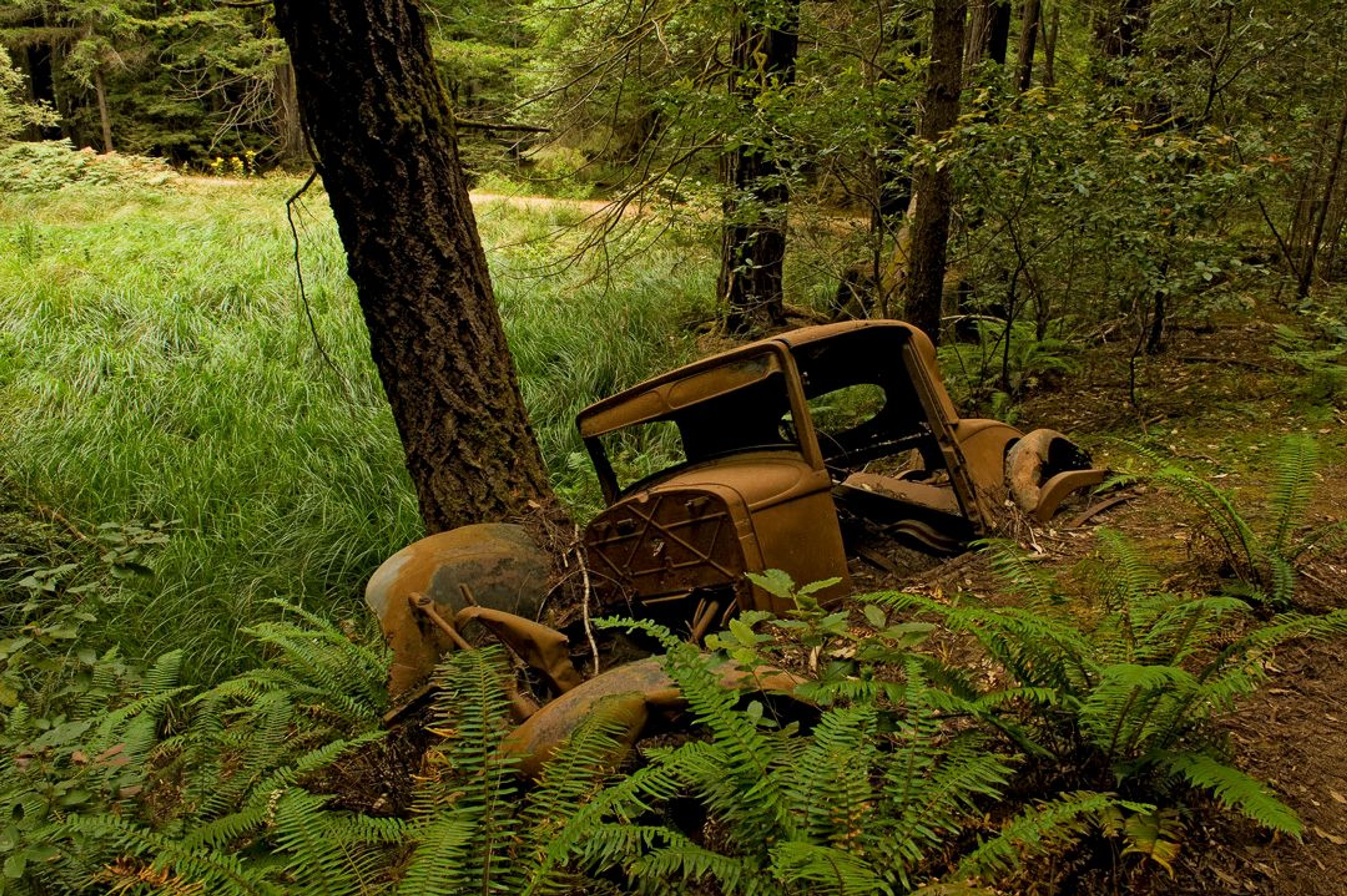 Image of California State Park