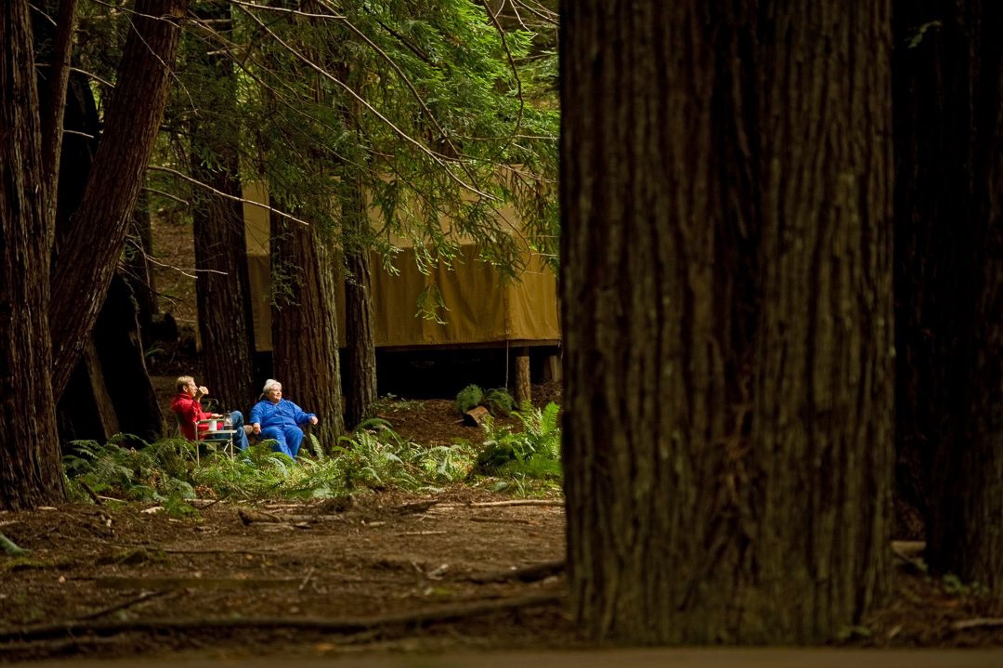 Image of California State Park