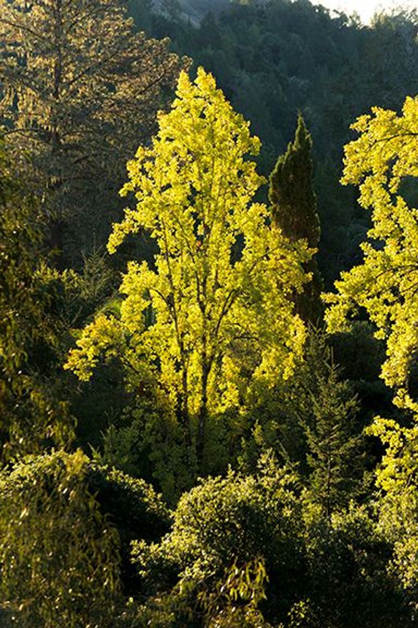 Image of California State Park